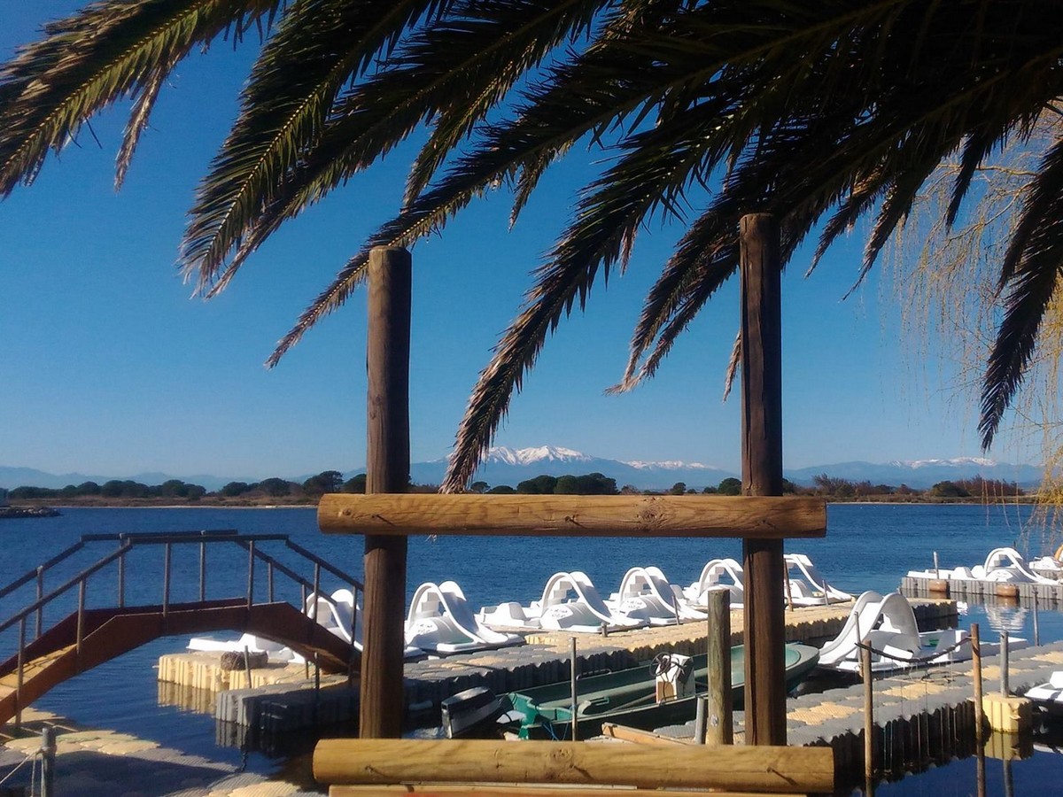 L'île aux oiseaux - Base Nautique Port Leucate