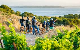 TROTTUP Frontignan