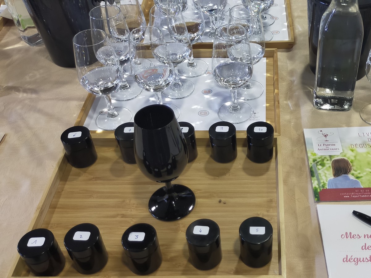 Atelier de dégustation oenologique - Le parfum des Anthocyanes