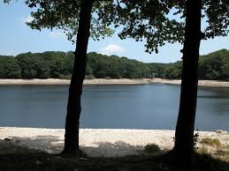 Bassin du Lampy