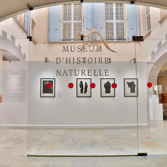 Muséum d'histoire naturelle