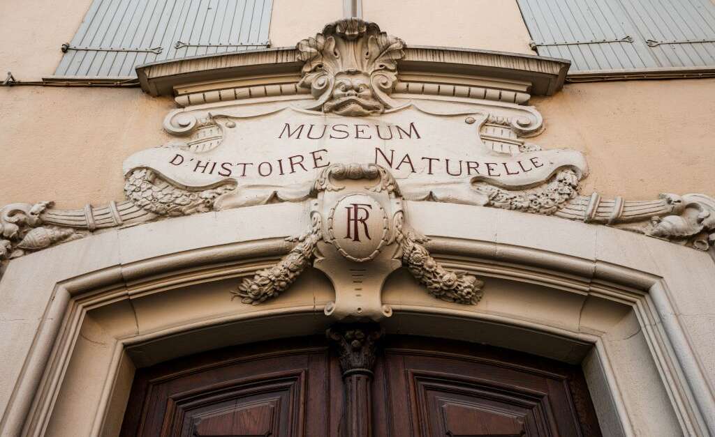 Muséum d'histoire naturelle