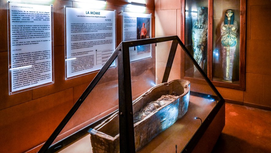 Muséum d'histoire naturelle