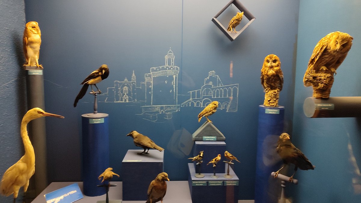 Muséum d'histoire naturelle