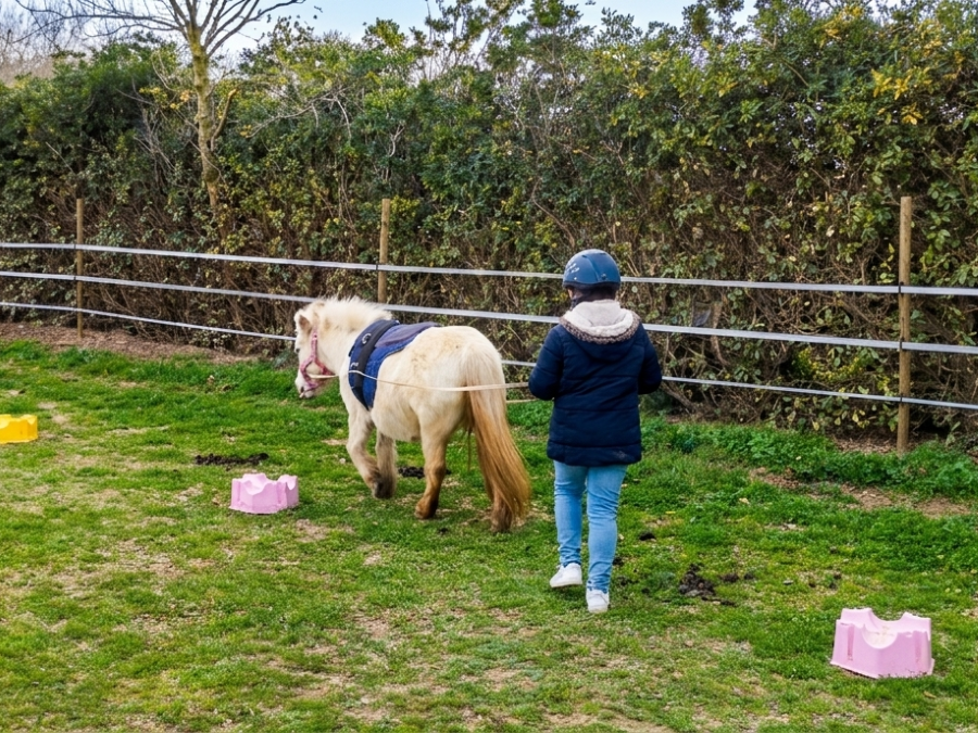 Balade et soins du poney