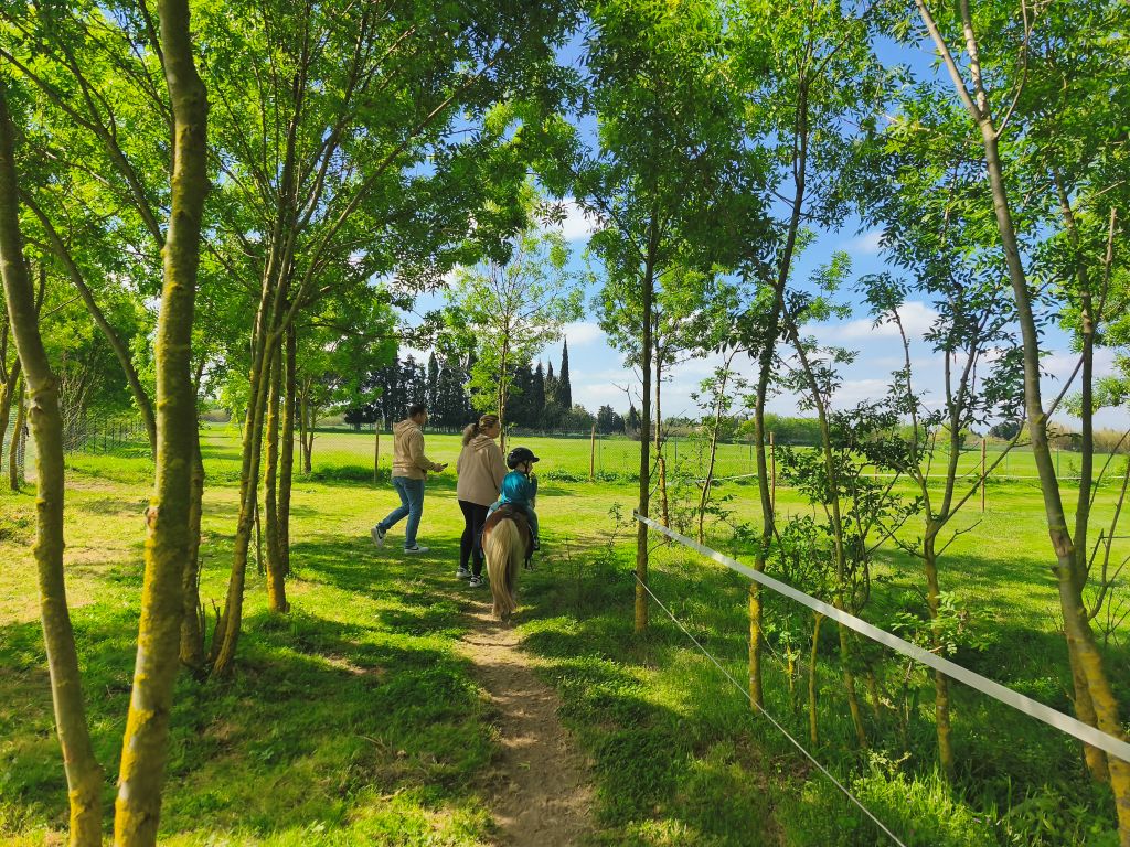 Balade et soins du poney