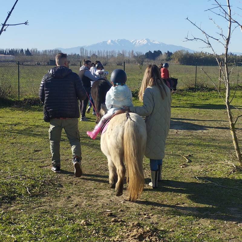 Balade et soins du poney
