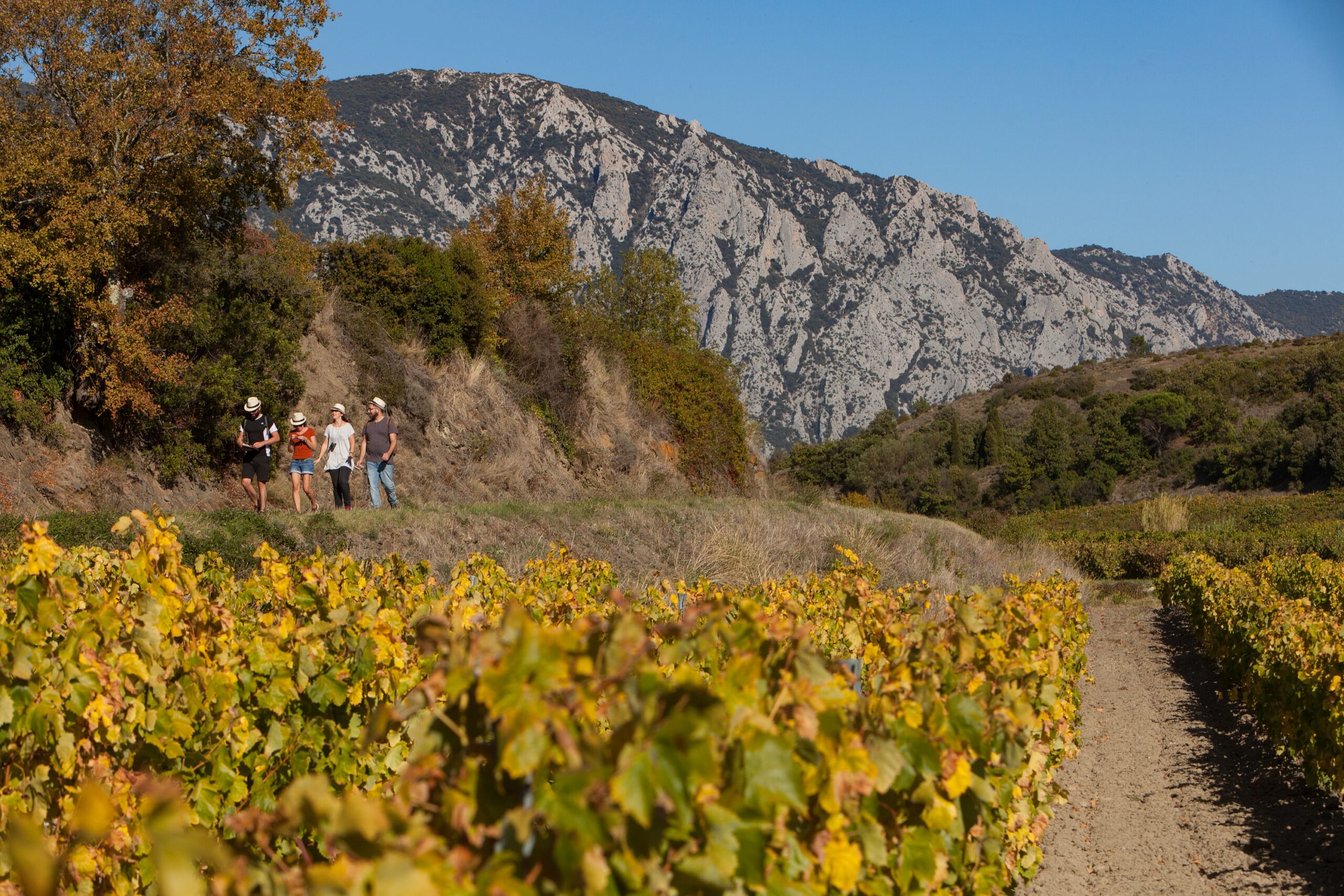 Escape Game dans les vignes - de 1 à 5 personnes