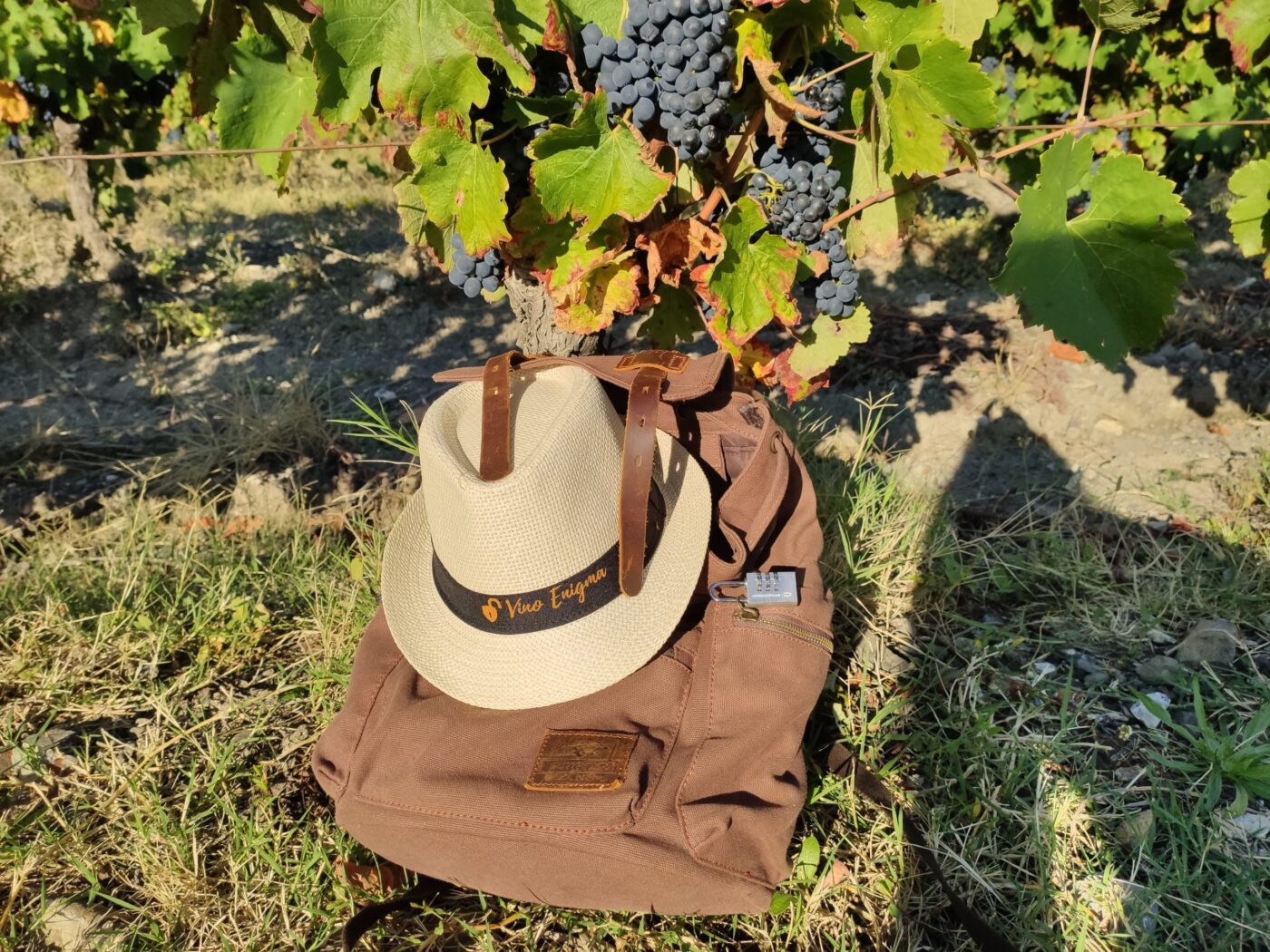 Escape Game dans les vignes - de 1 à 5 personnes