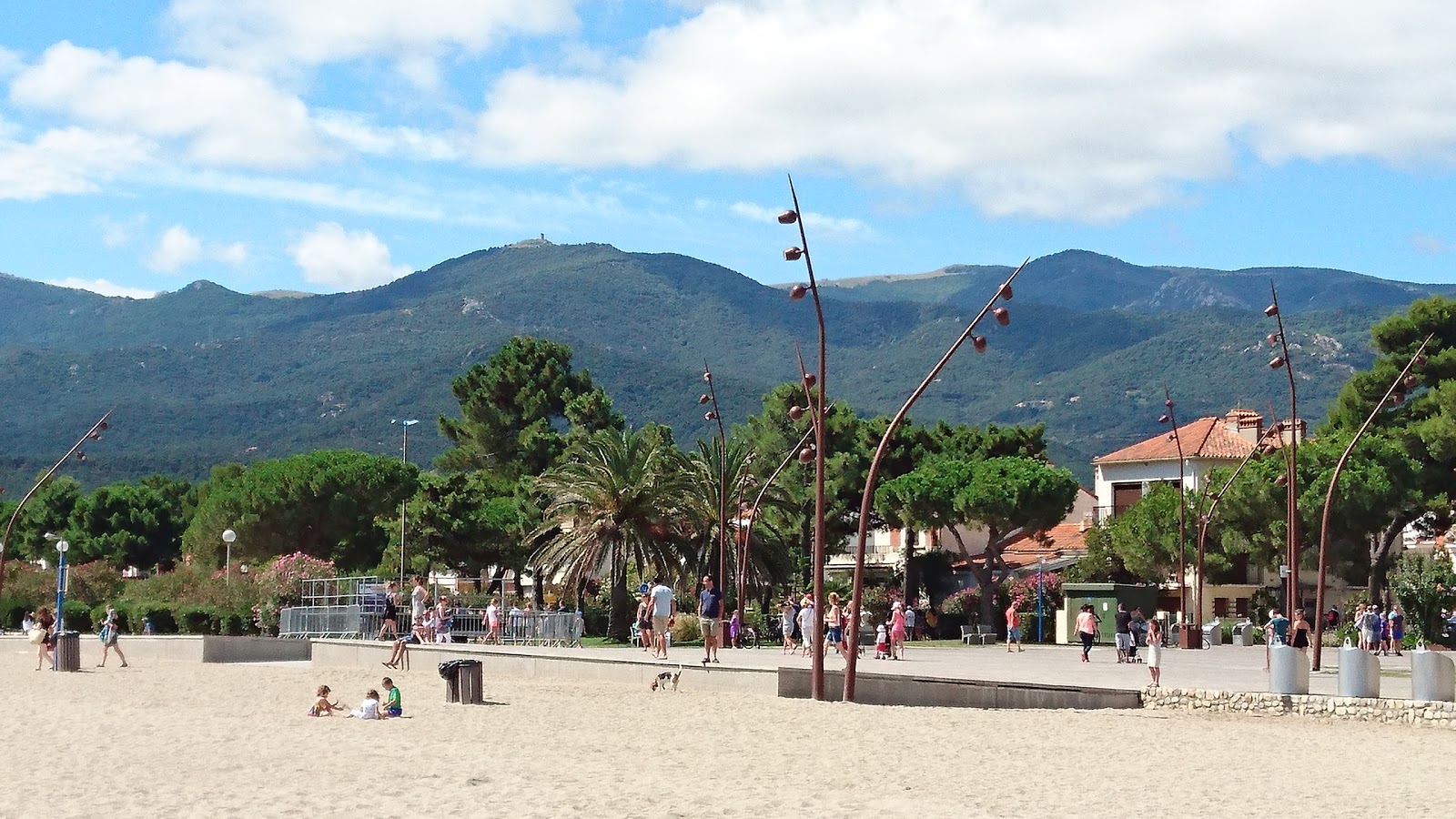 Plage des pins