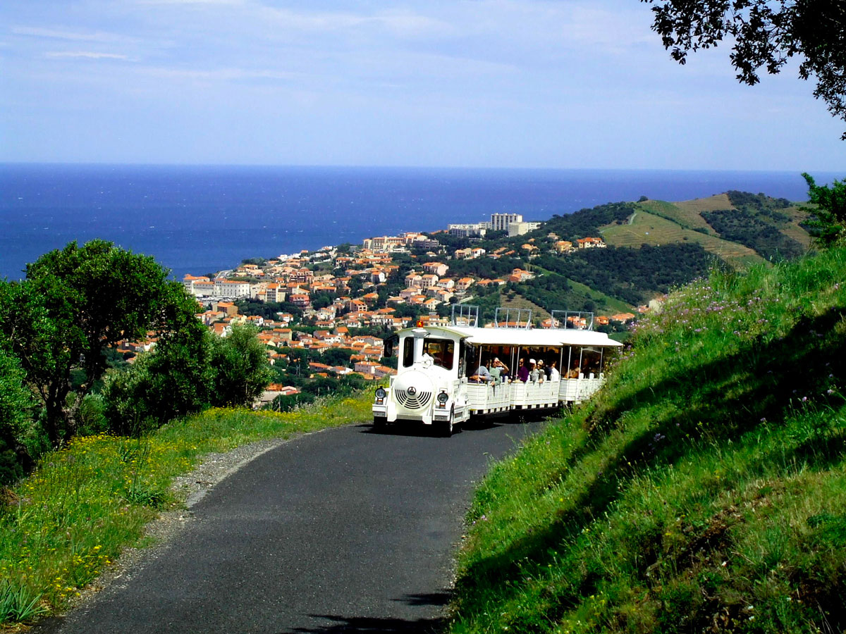Petit train touristique
