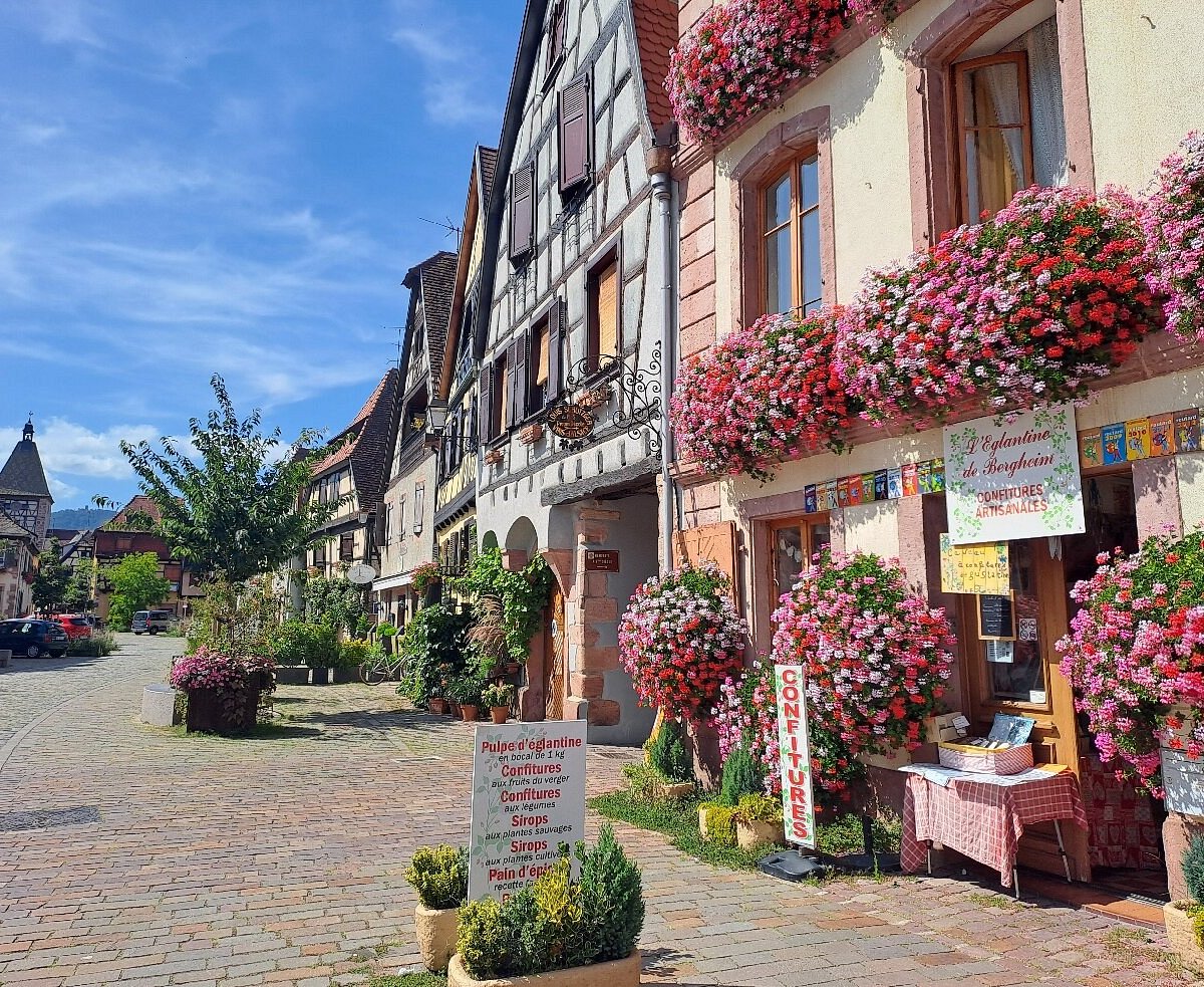Bergheim - Les Plus beaux villages de France
