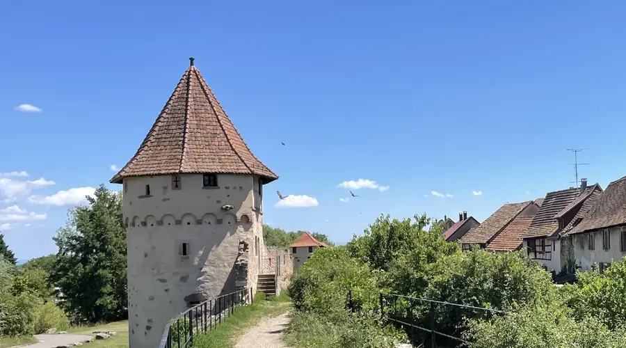 Bergheim - Les Plus beaux villages de France