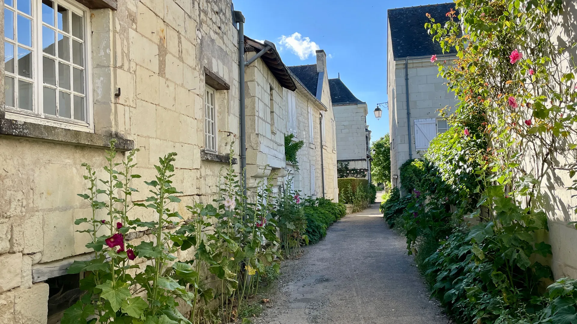 Candes-Saint-Martin - Les Plus beaux villages de France