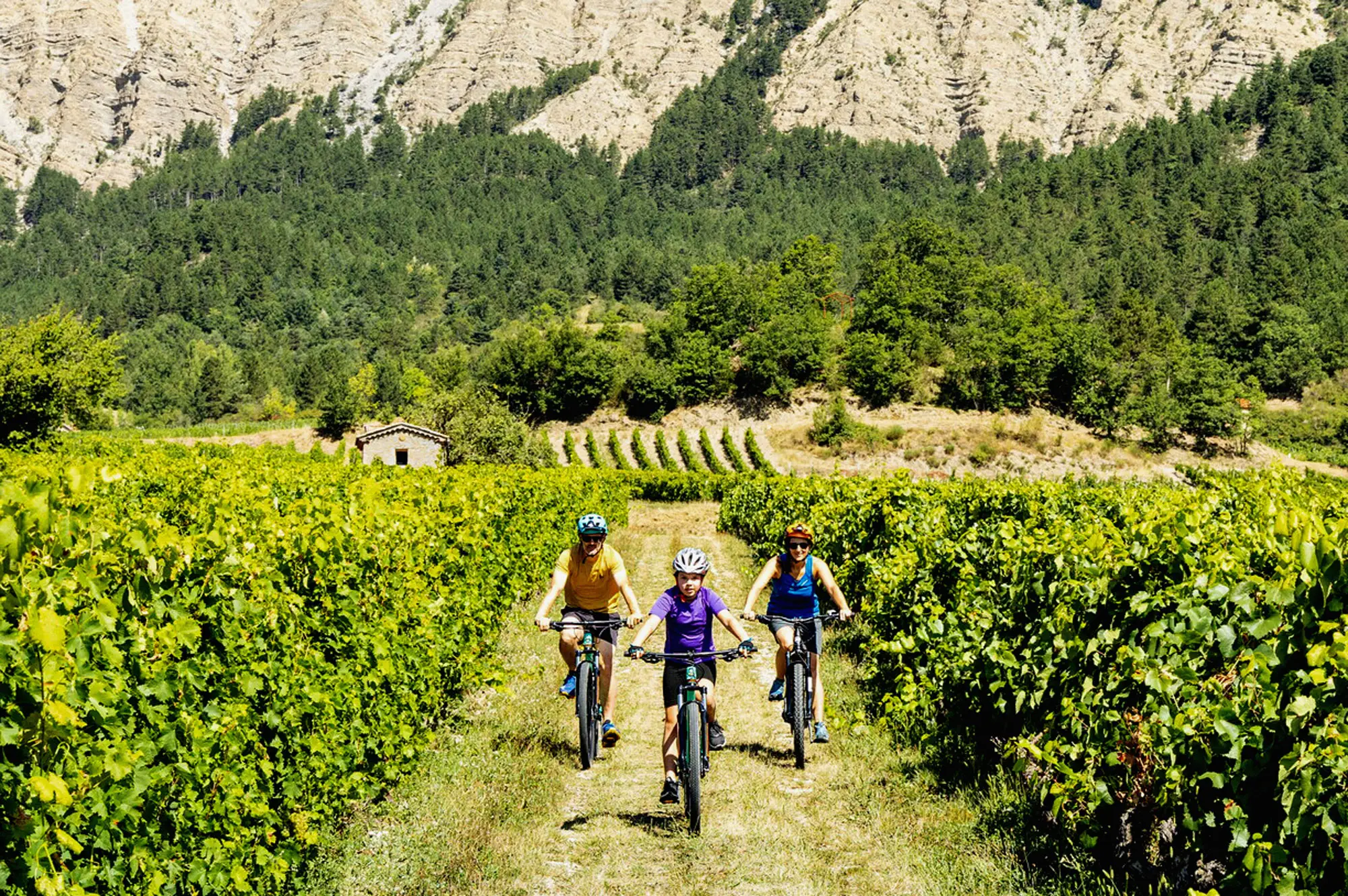 Châtillon-en-Diois - Les Plus beaux villages de France
