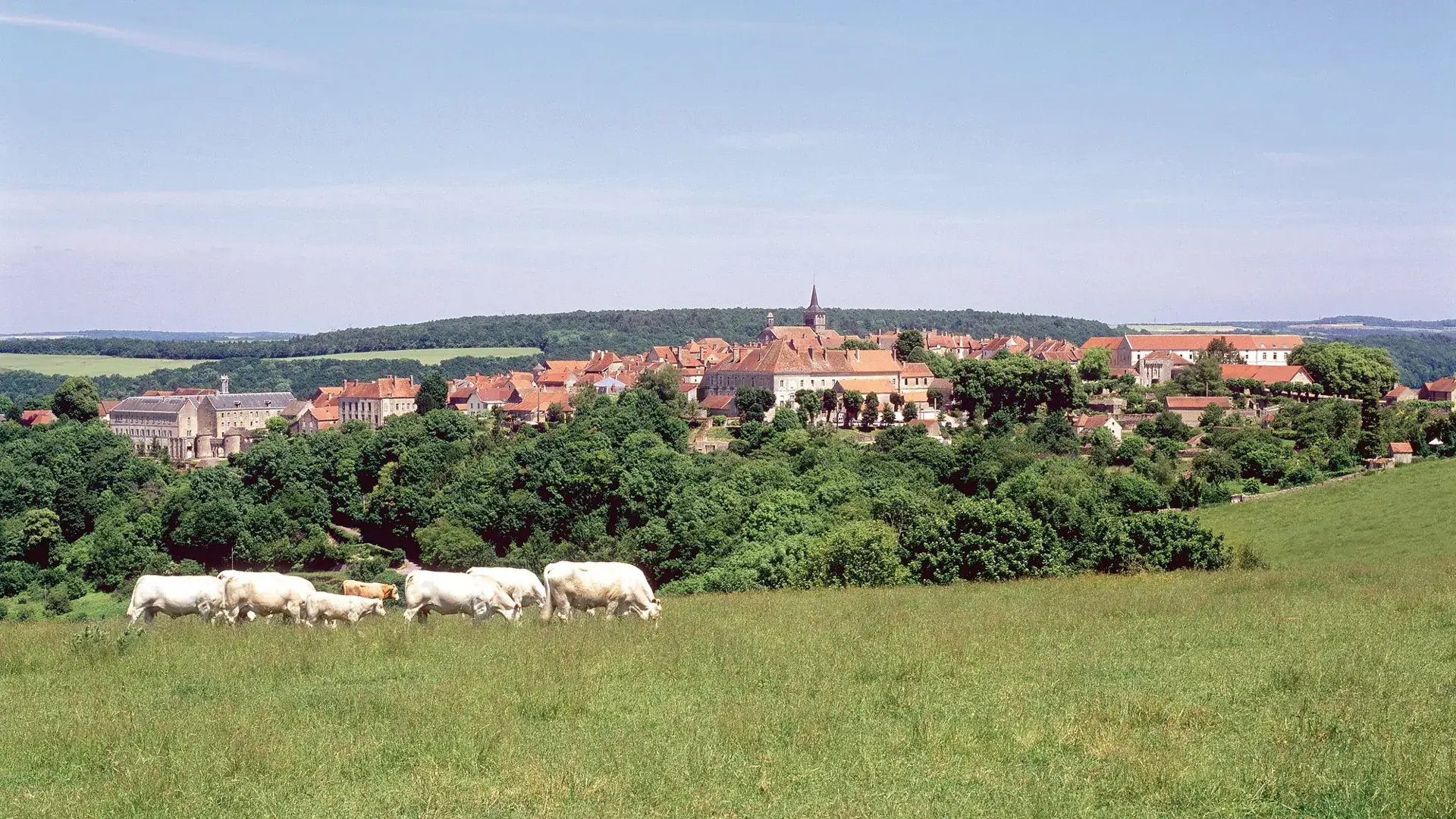Flavigny-sur-Ozerain - Les Plus beaux villages de France
