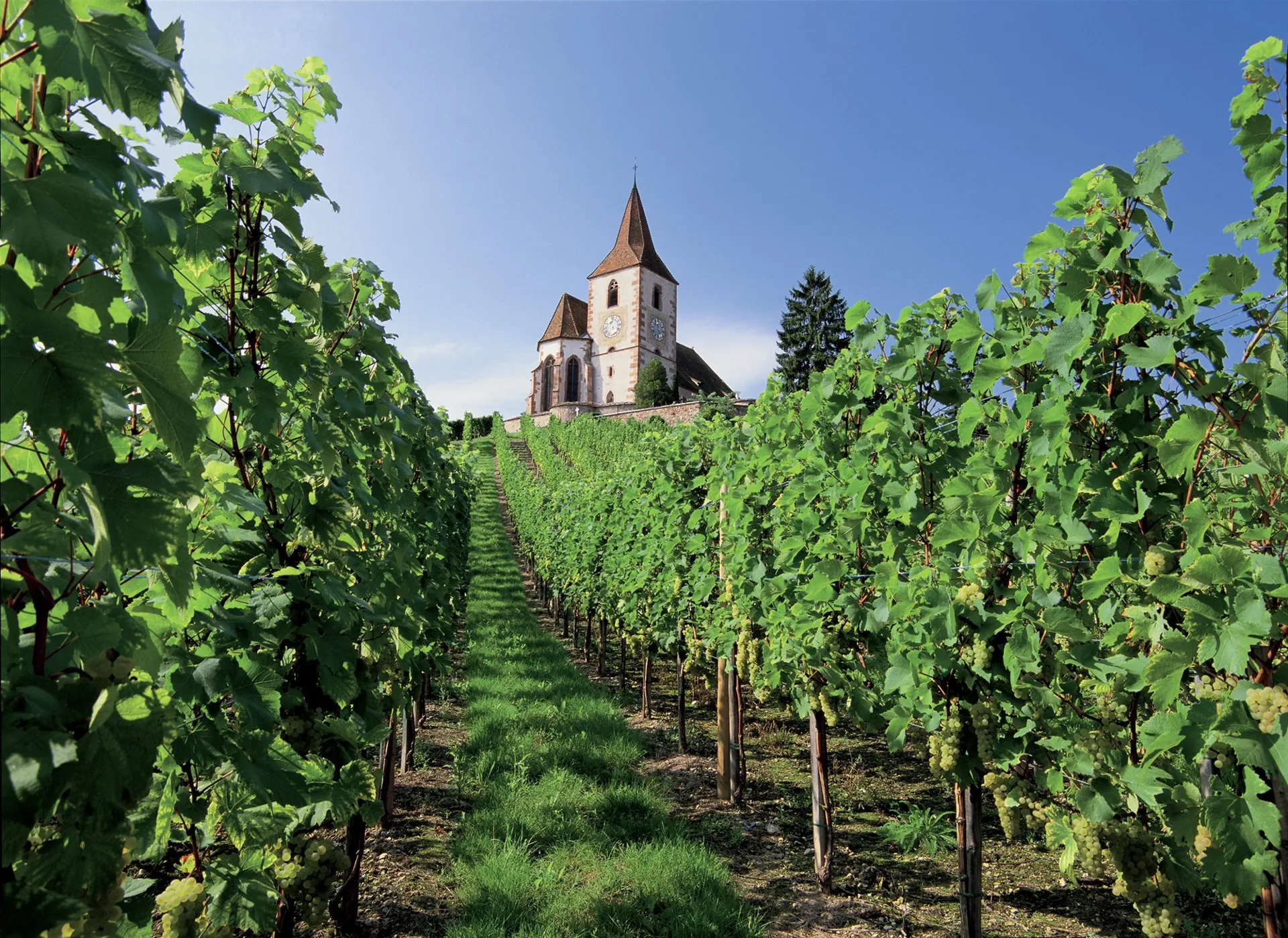 Hunawihr - Les Plus beaux villages de France