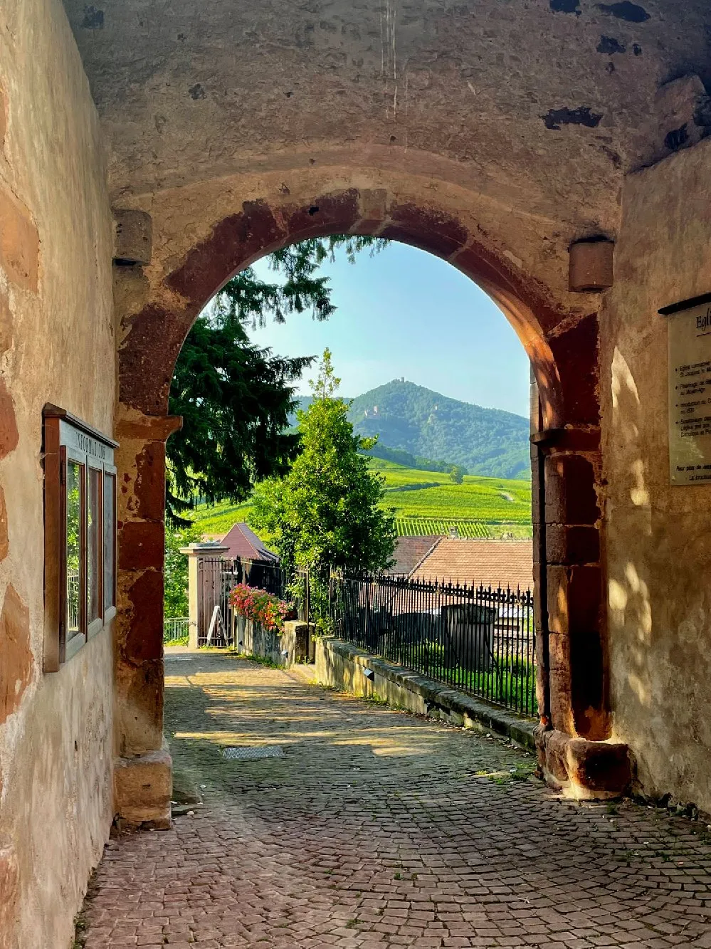 Hunawihr - Les Plus beaux villages de France