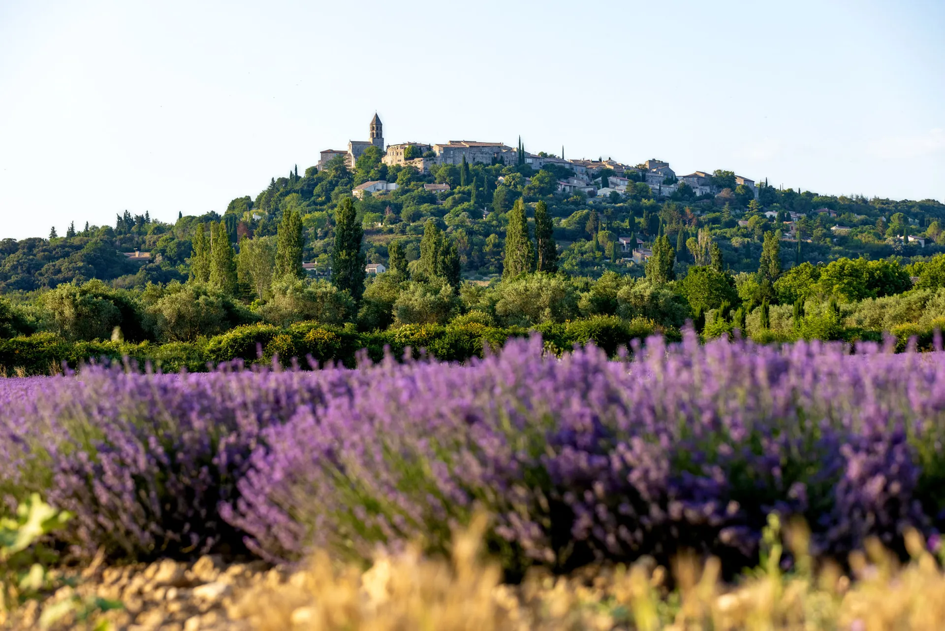 La Garde-Adhémar - Les Plus beaux villages de France