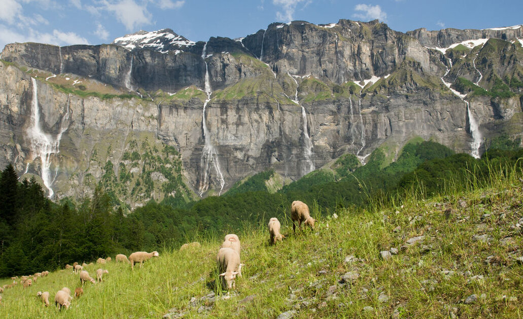 Randonnées dans le Cirque du Fer-à-Cheval