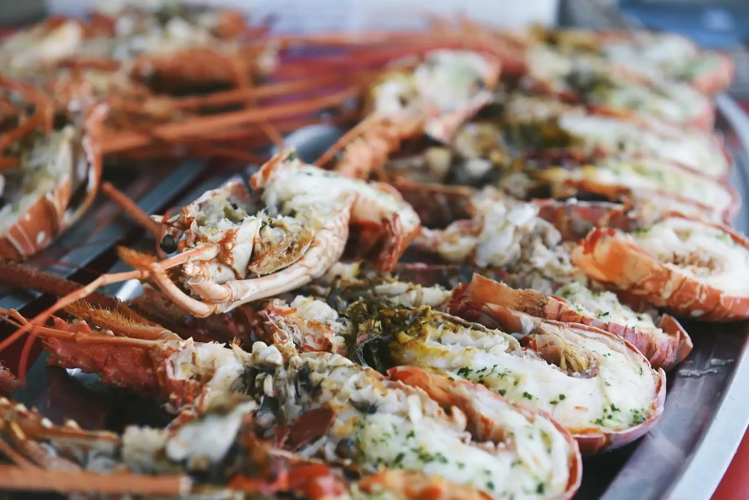 Excursion en mer et Déjeuner Pates à la Langouste dans les Iles Lavezzi