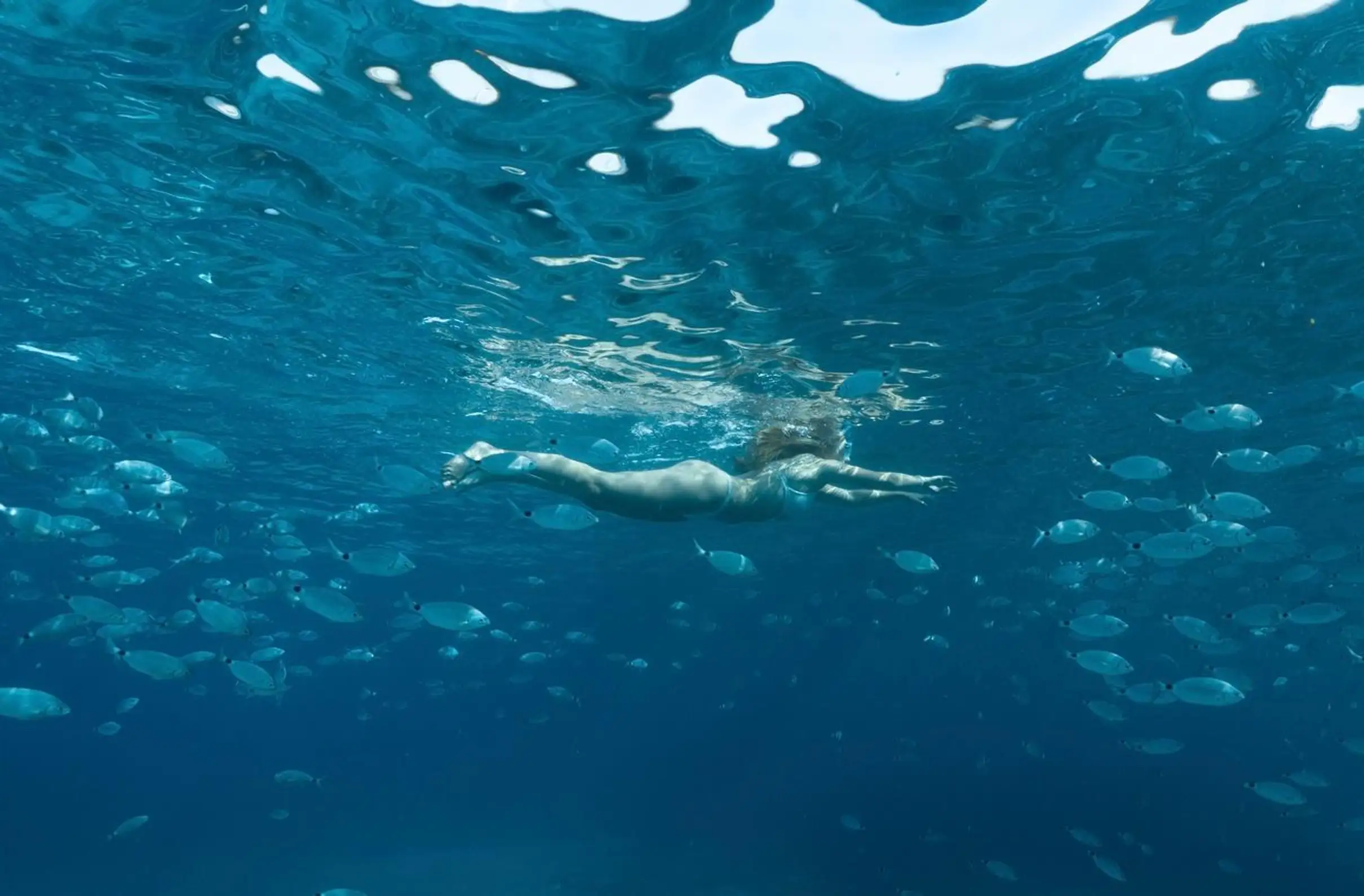 Bonifacio:Balade en catamaran à voile (2h) aux îles Lavezzi avec snorkeling