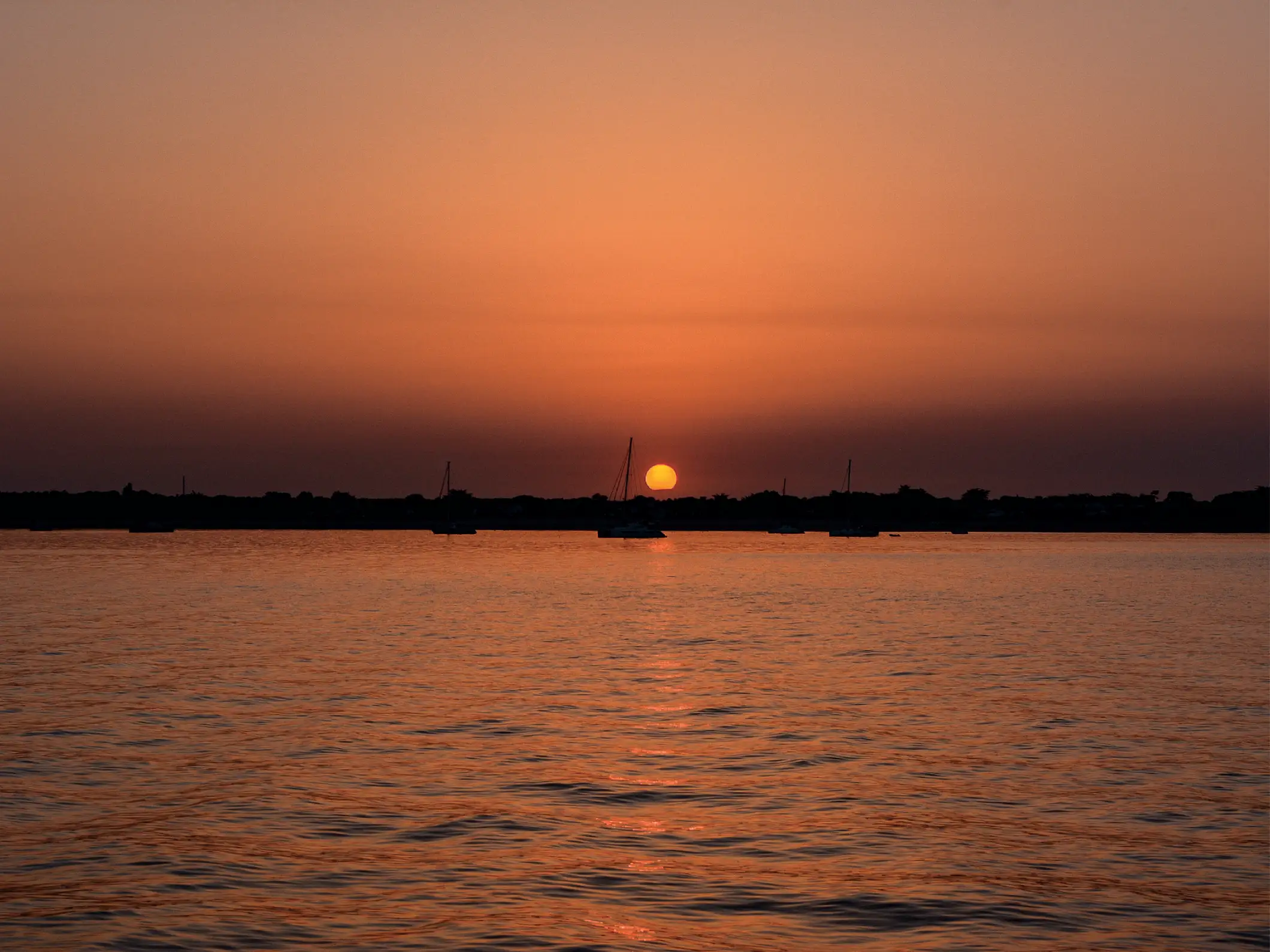 La Rochelle : Croisière en catamaran au coucher du soleil (2h00)