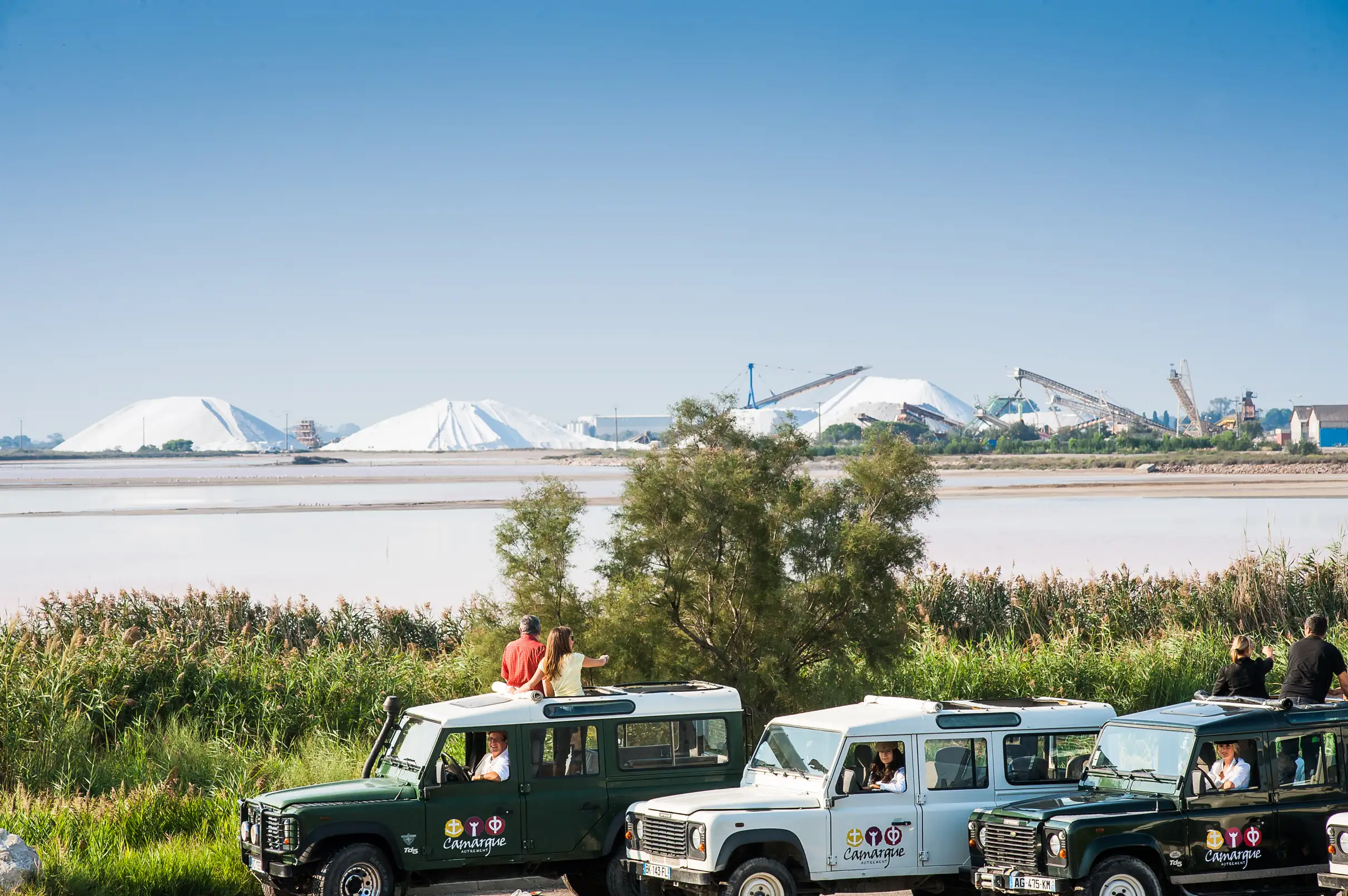 Camargue : Demi-journée de safari guidé en 4x4