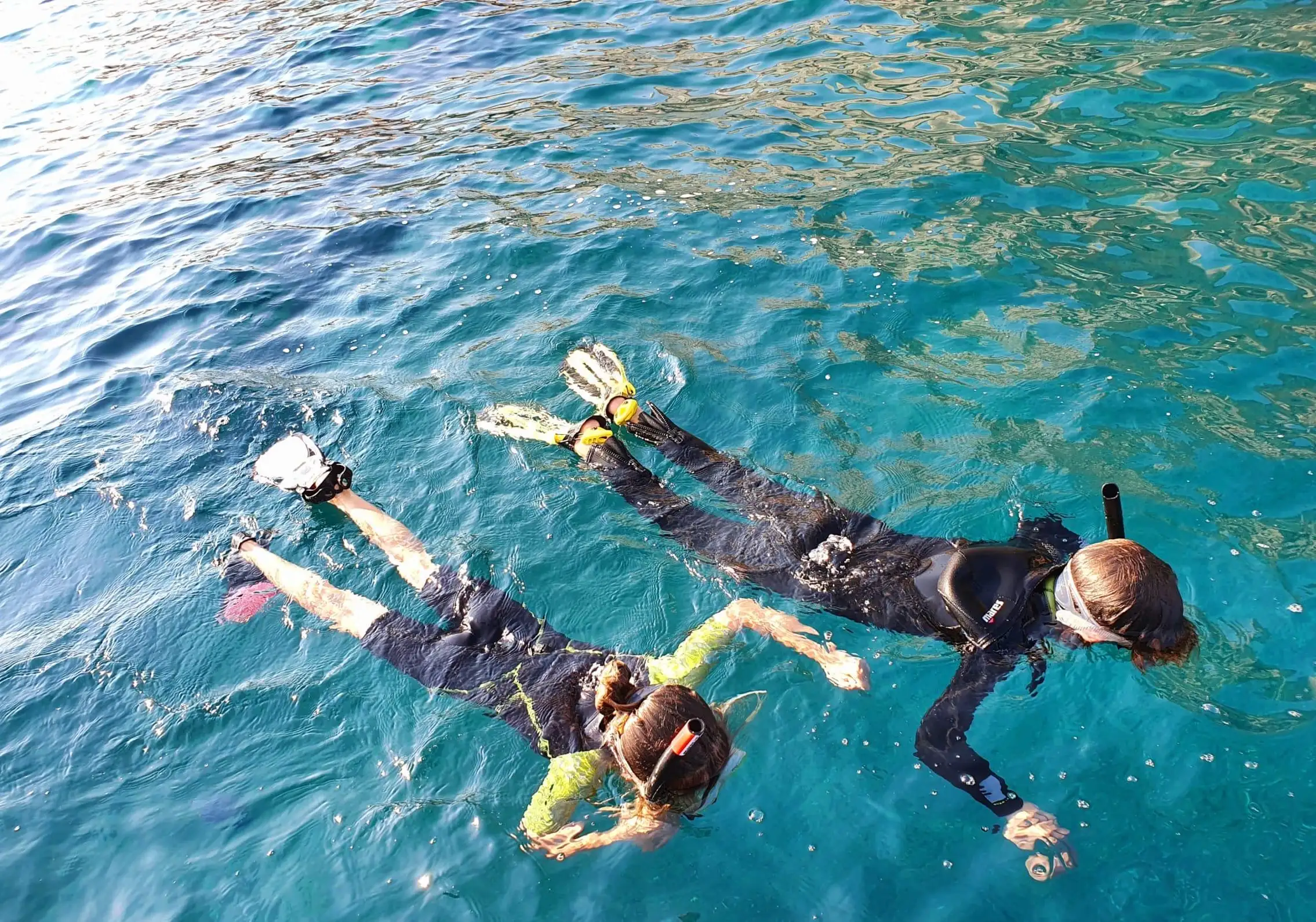 Calvi : snorkeling en bordure de la réserve marine de la Revellata