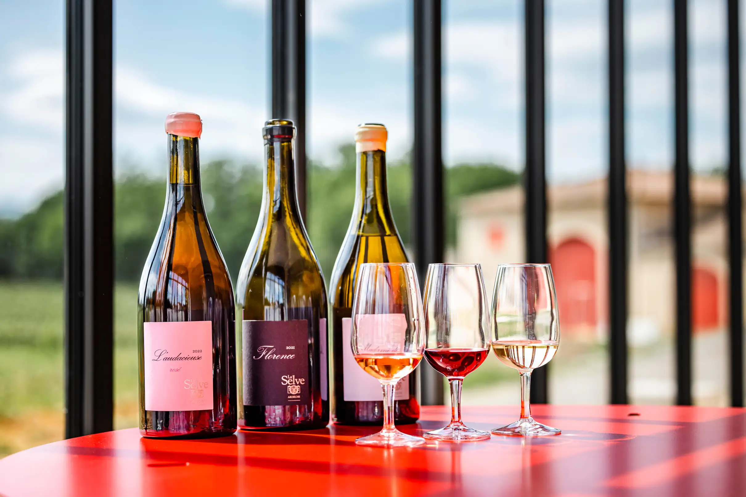Ardèche : visite guidée de notre domaine viticole avec dégustation