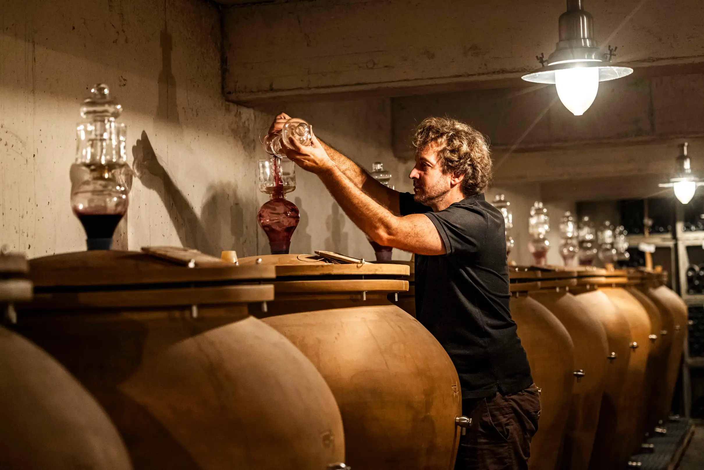 Ardèche : visite guidée de notre domaine viticole avec dégustation