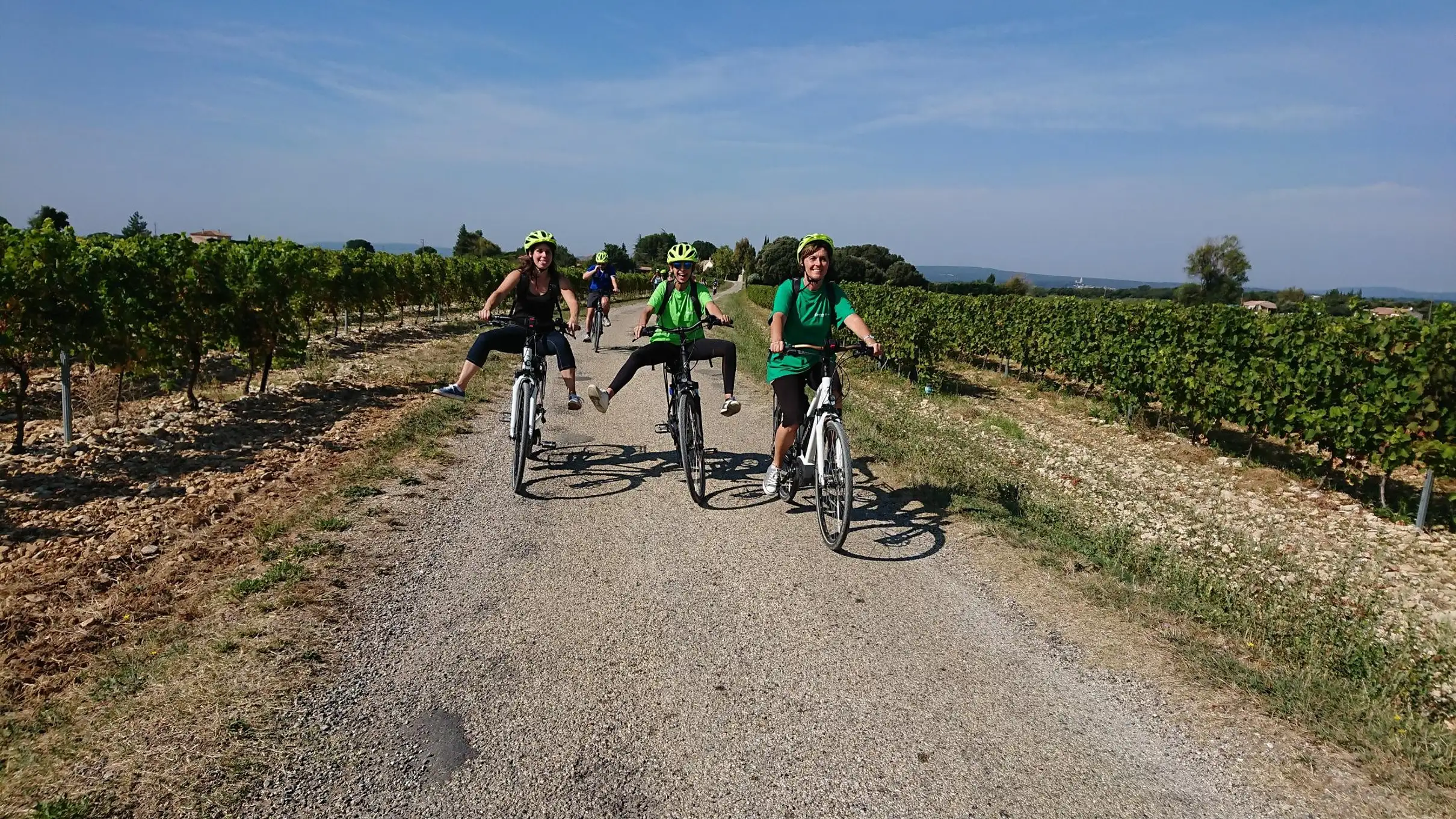 Saint-Martin-d'Ardèche : Visite et dégustation de vins à vélo électrique