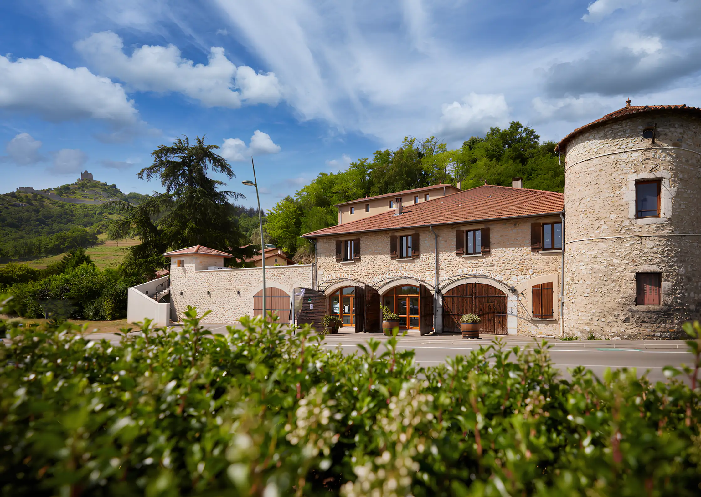 Ardèche : expérience oenotouristique en vélo électrique + dégustation