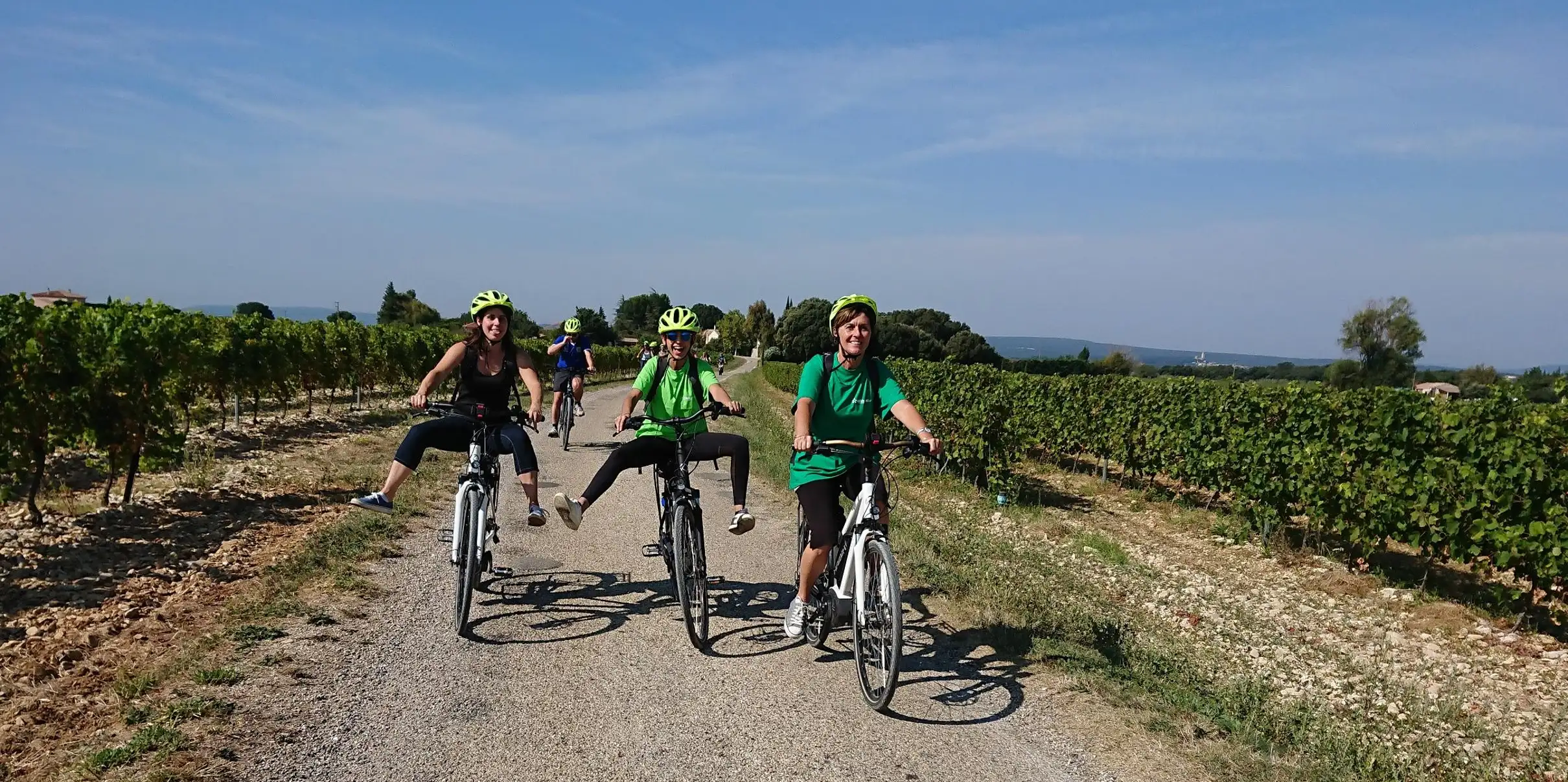 Vélo électrique et vin : visite dégustation dans les vignobles de Saint-Remèze