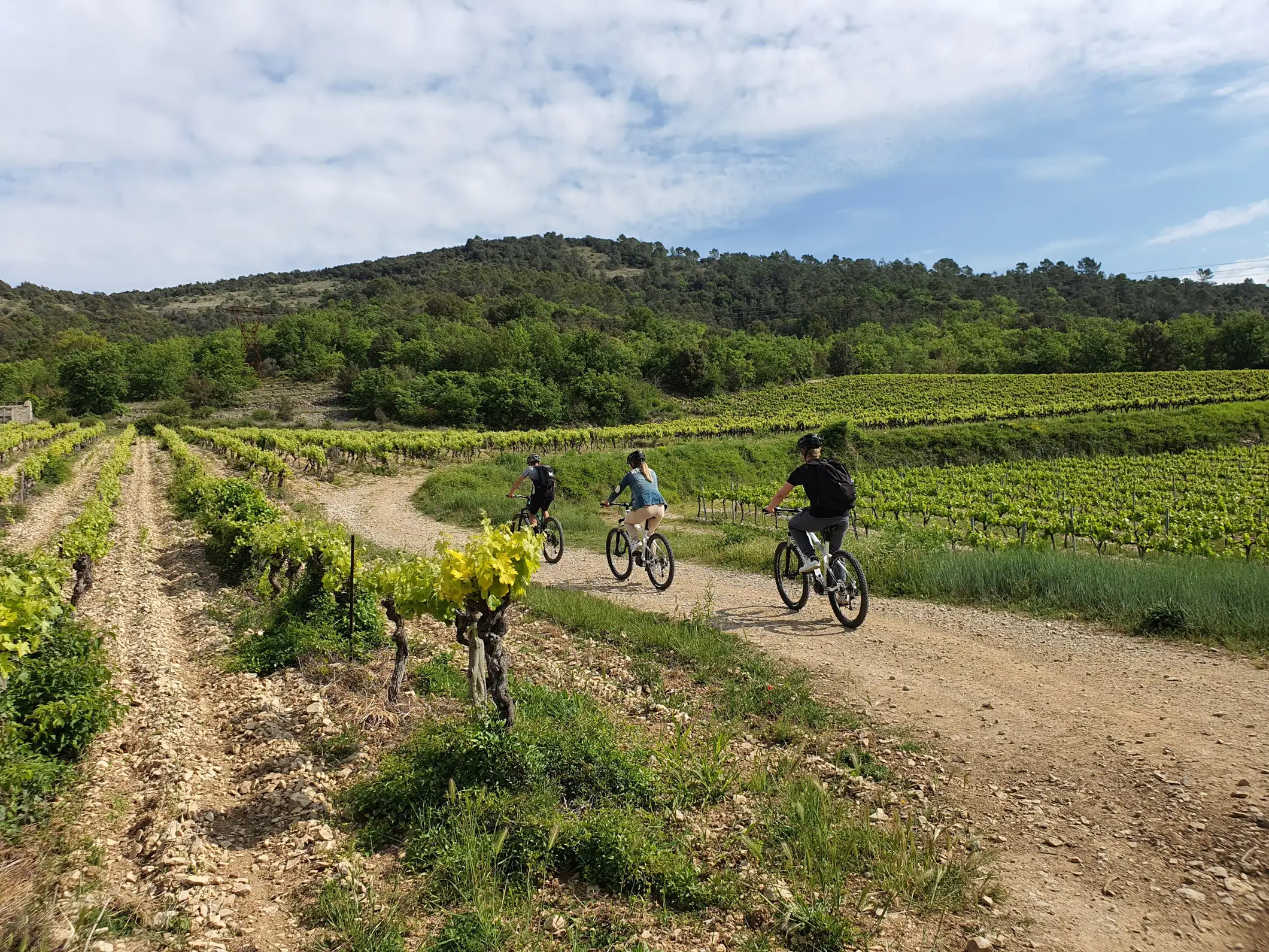 Saint Montan : Balade à vélo électrique et dégustation