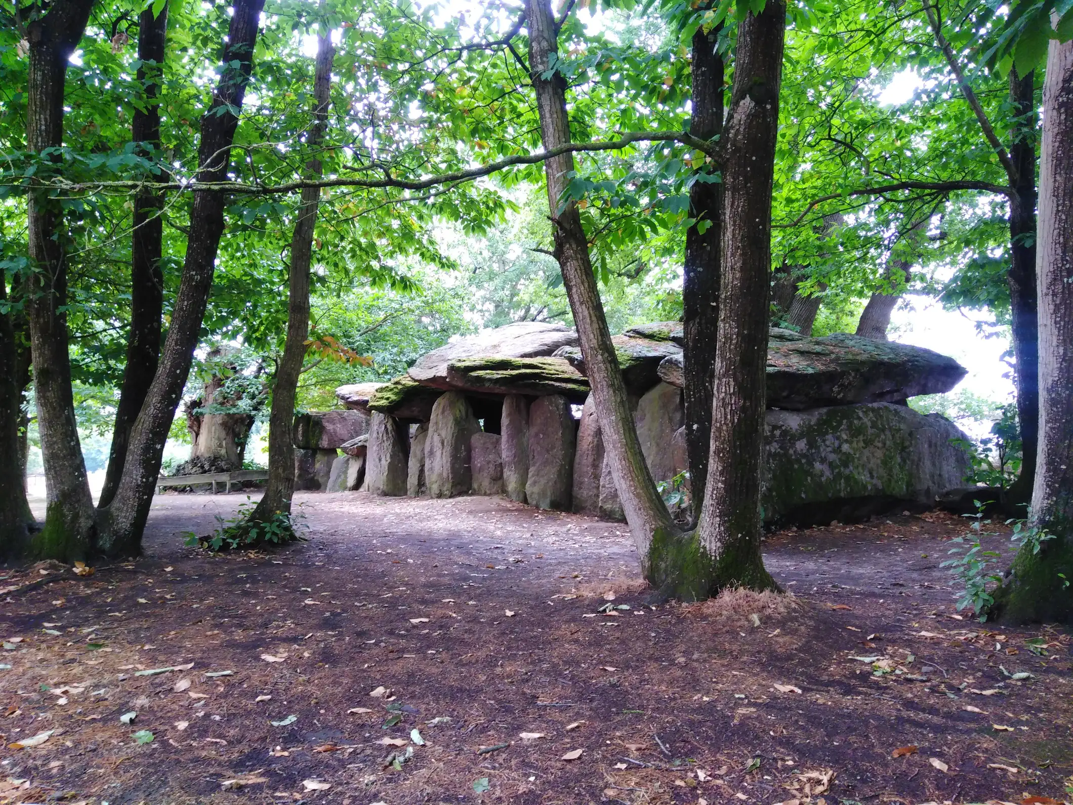 Géobalade 2h, au pied des 3 becs, massif de Saoû (écologie et géologie)