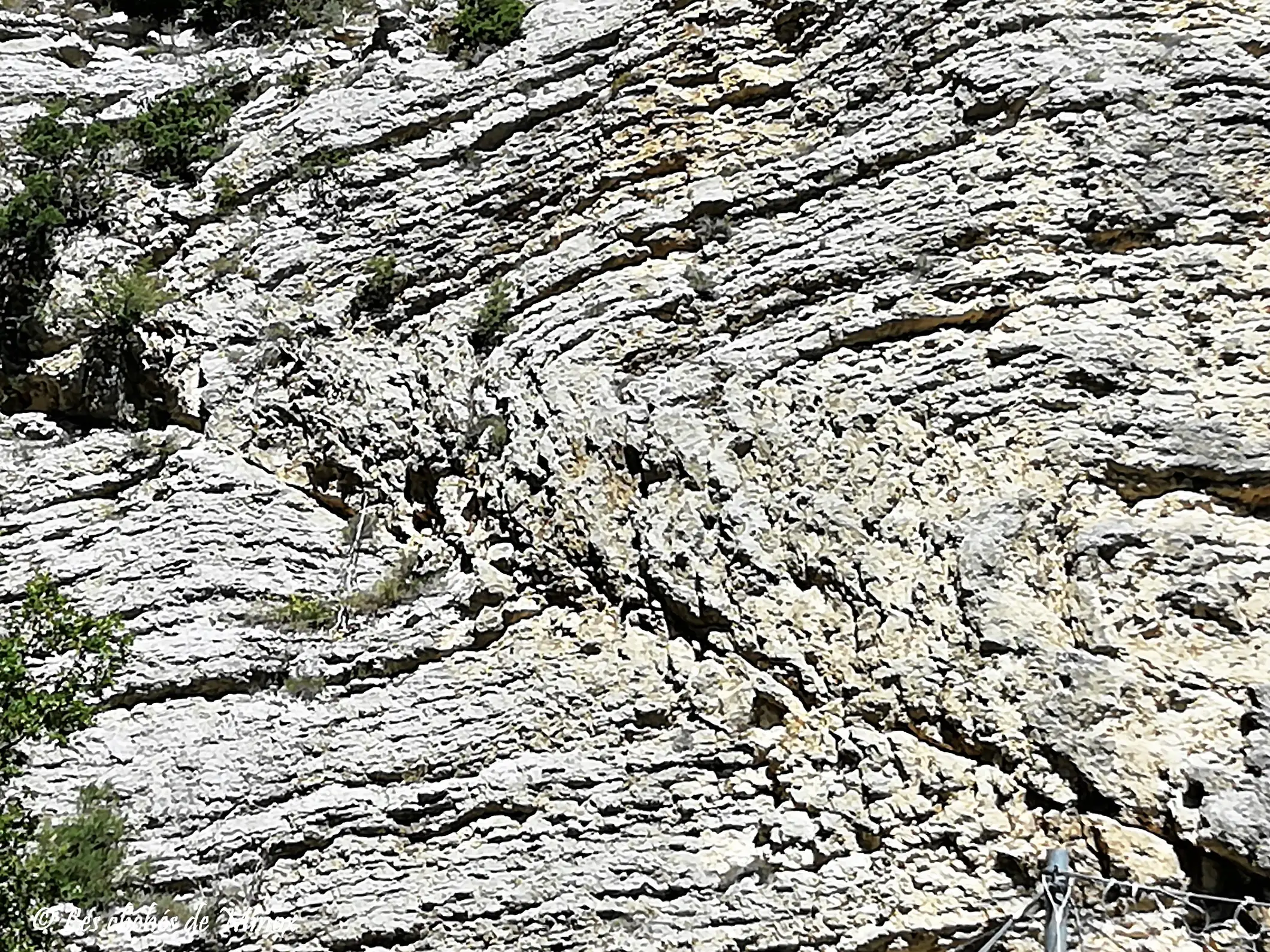 Géobalade 2h, au pied des 3 becs, massif de Saoû (écologie et géologie)