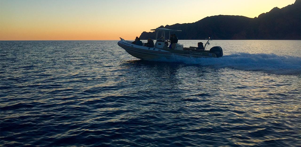 Golfe de Porto : Visite des Calanques de Piana et/ou Réserve de Scandola
