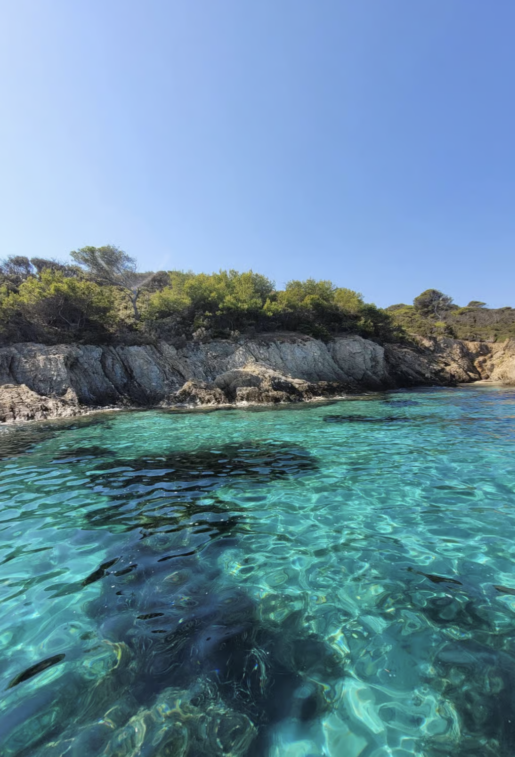 Porquerolles : excursion bateau sunset et apéro les pieds dans l'eau