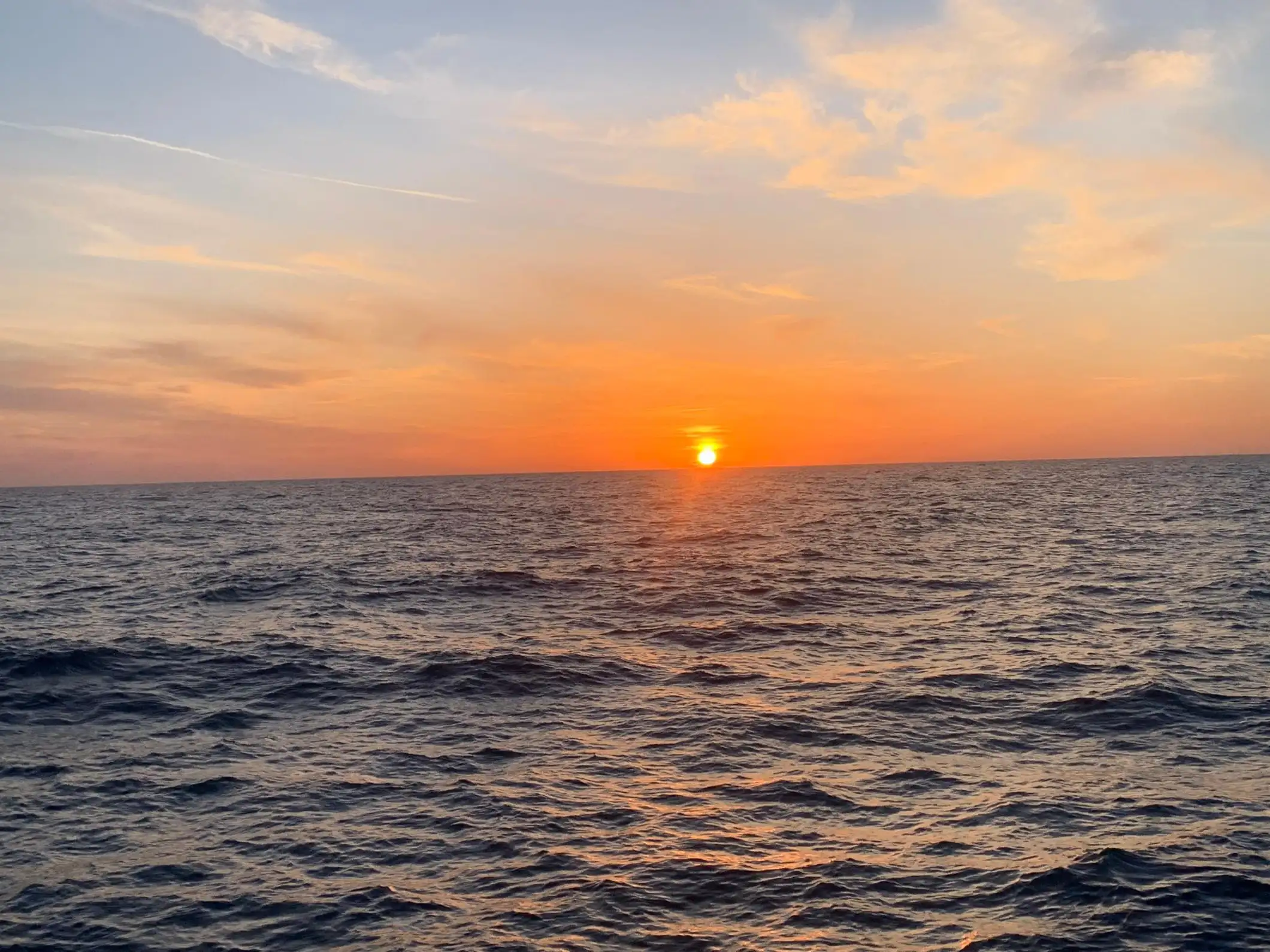 Départ de Six-Fours-les-Plages, Brusc : croisière en catamaran au coucher du soleil