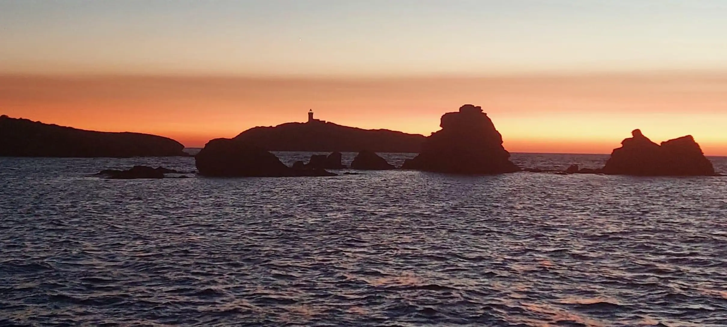 Départ de Six-Fours-les-Plages, Brusc : croisière en catamaran au coucher du soleil
