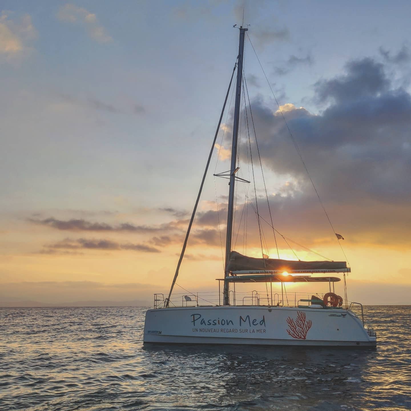Coucher de soleil en catamaran Presqu'île de Giens - île de Porquerolles