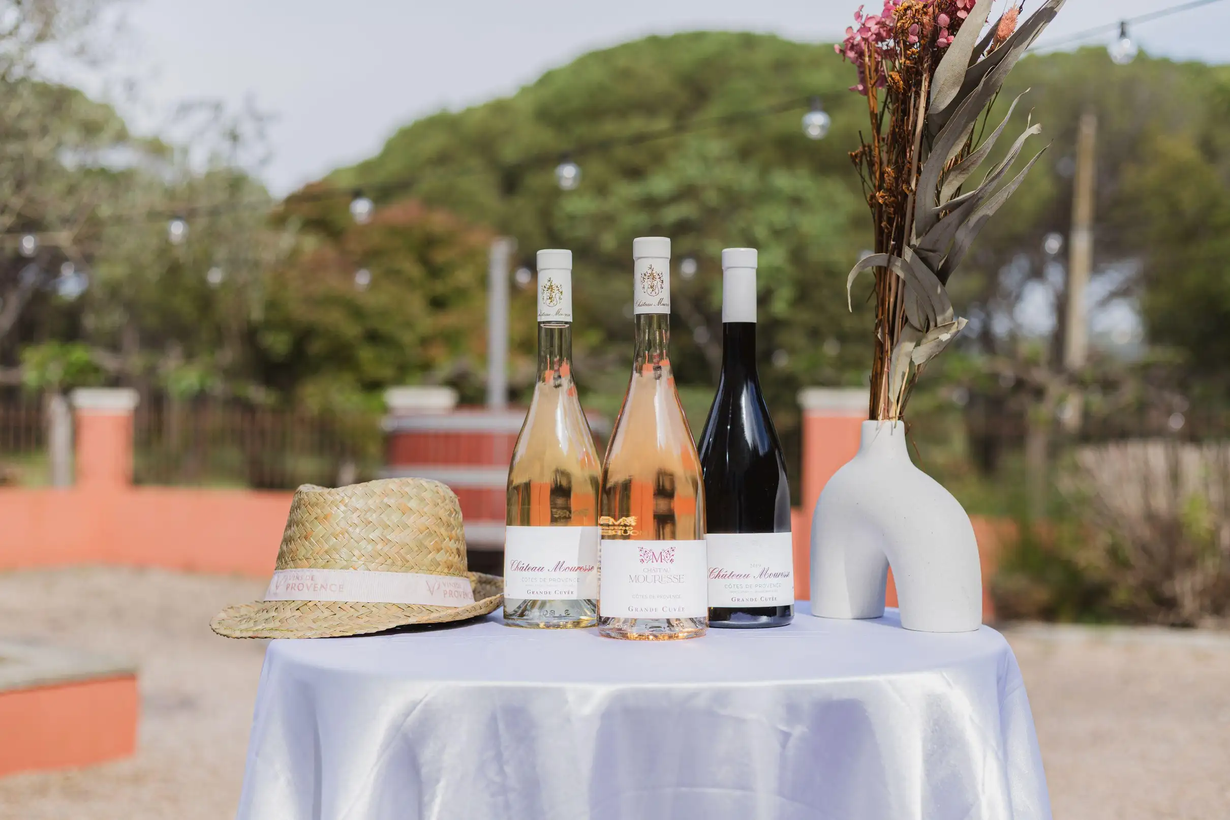 Château Mouresse: Visite de domaine viticole et dégustation de vins