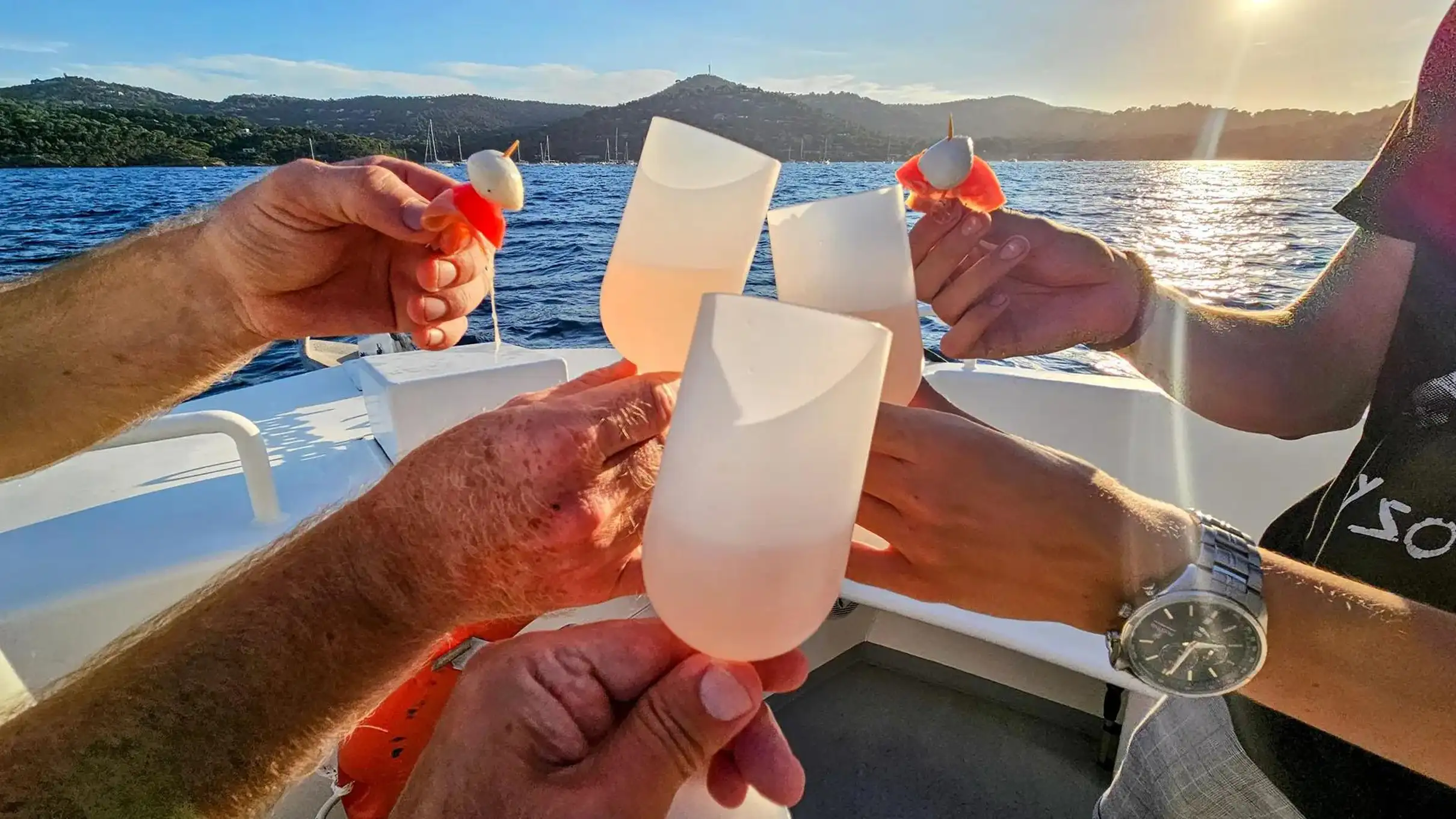 Bormes-les-Mimosas: Croisière Dégustation Apéro en Mer en bateau électrique