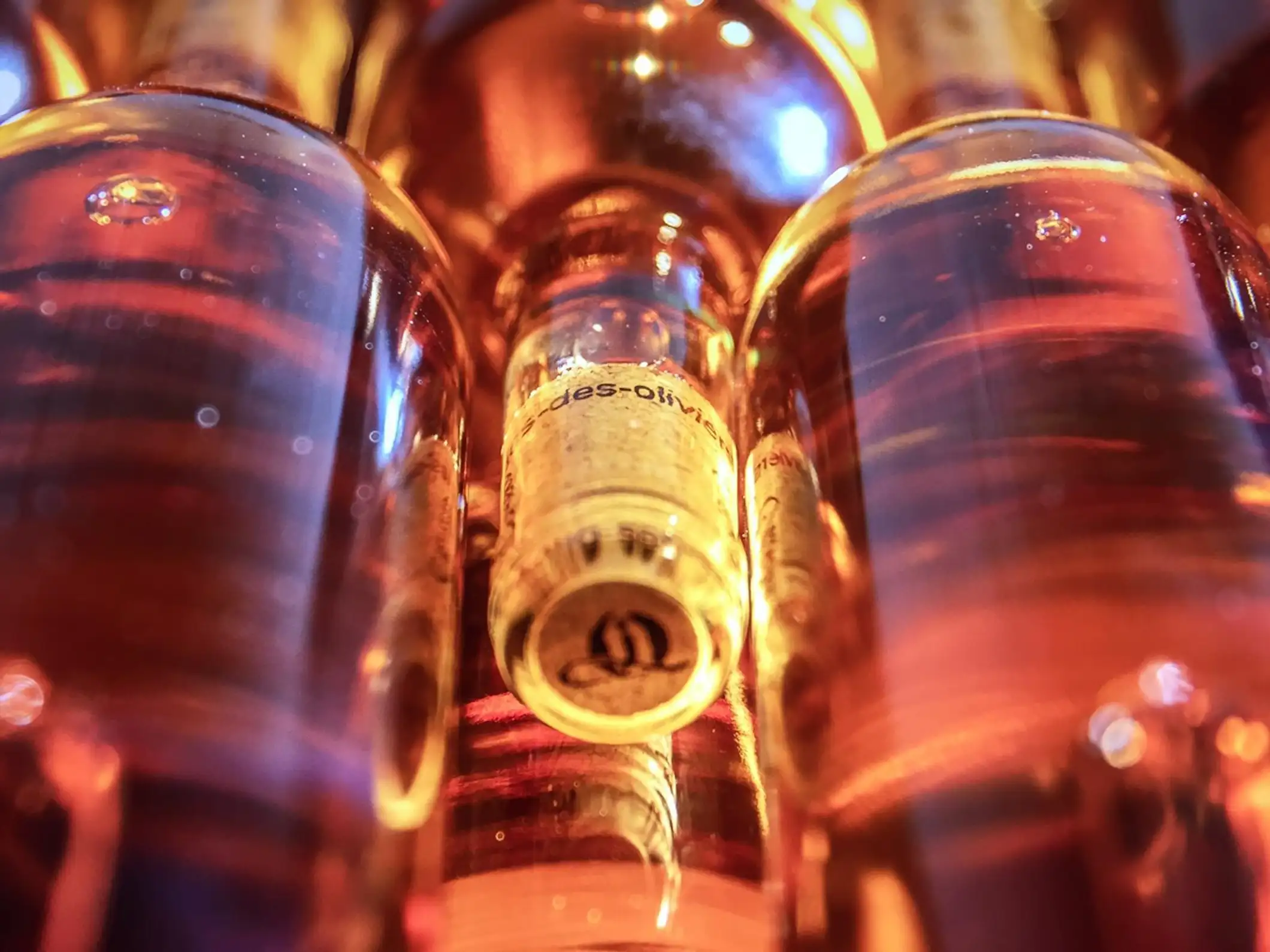 Fréjus: Visite guidée Cave et dégustation de vins