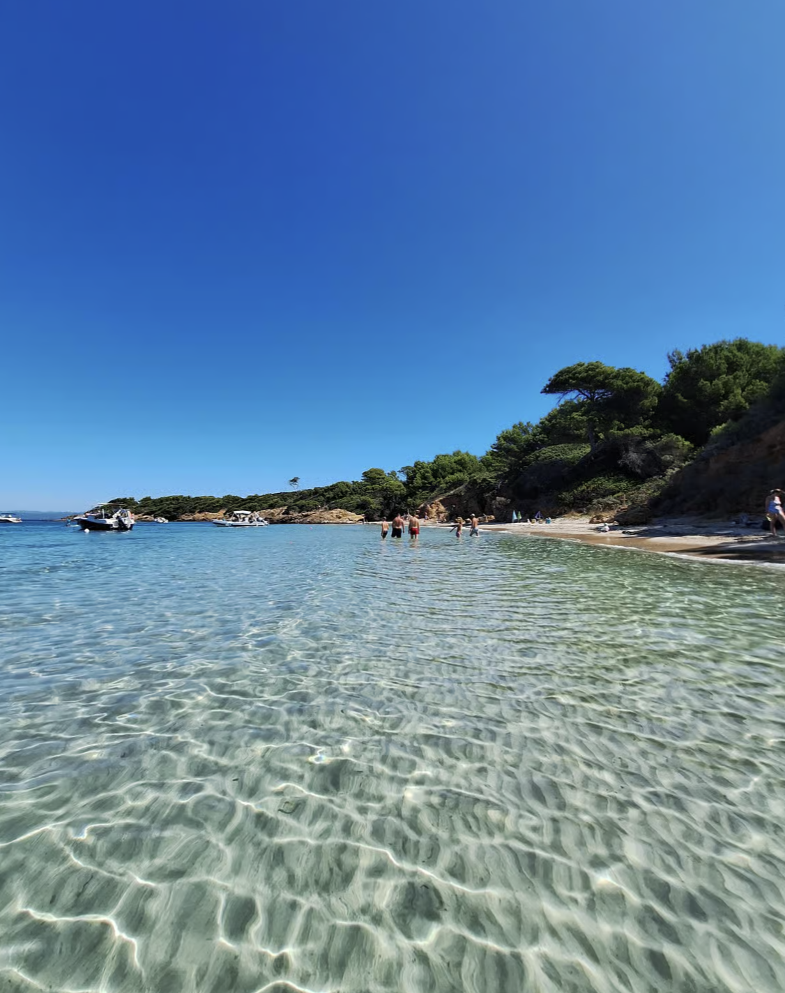 Porquerolles : excursion journée bateau et repas les pieds dans l'eau