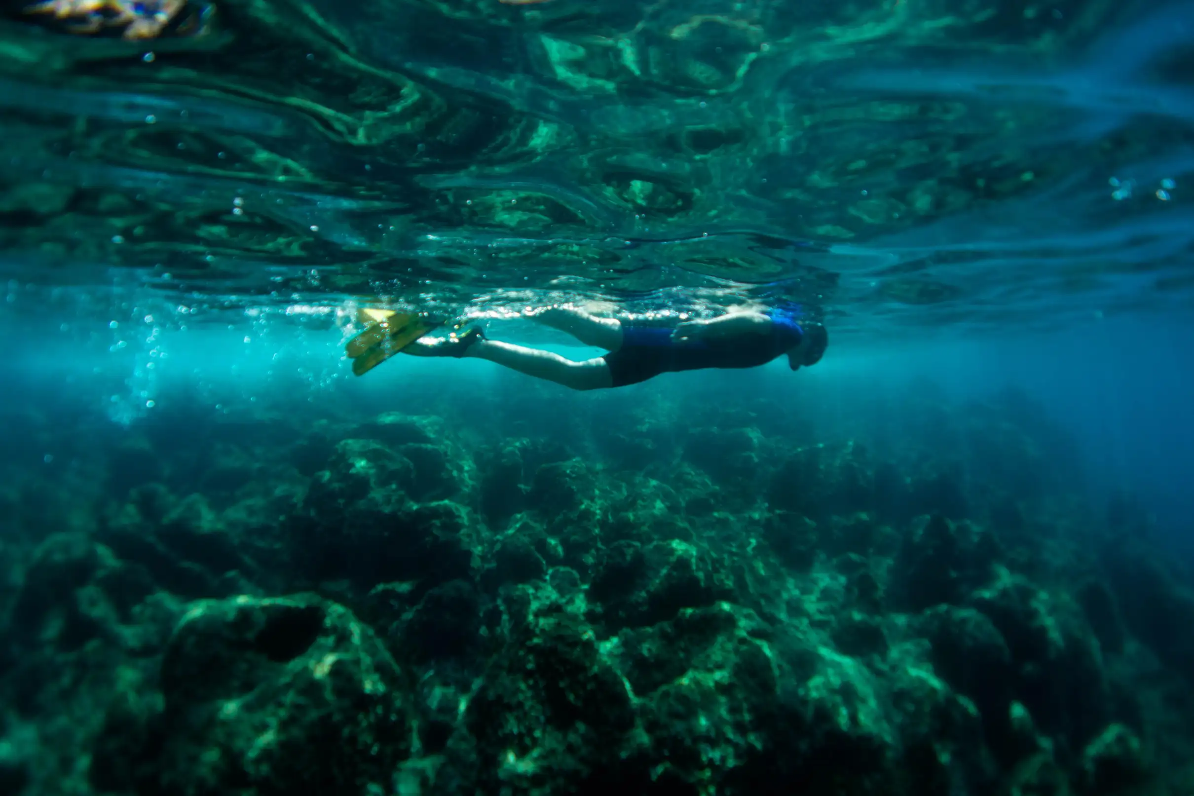 Nice : Excursion de snorkeling en bateau, grotte Mala, rade de Villefranche