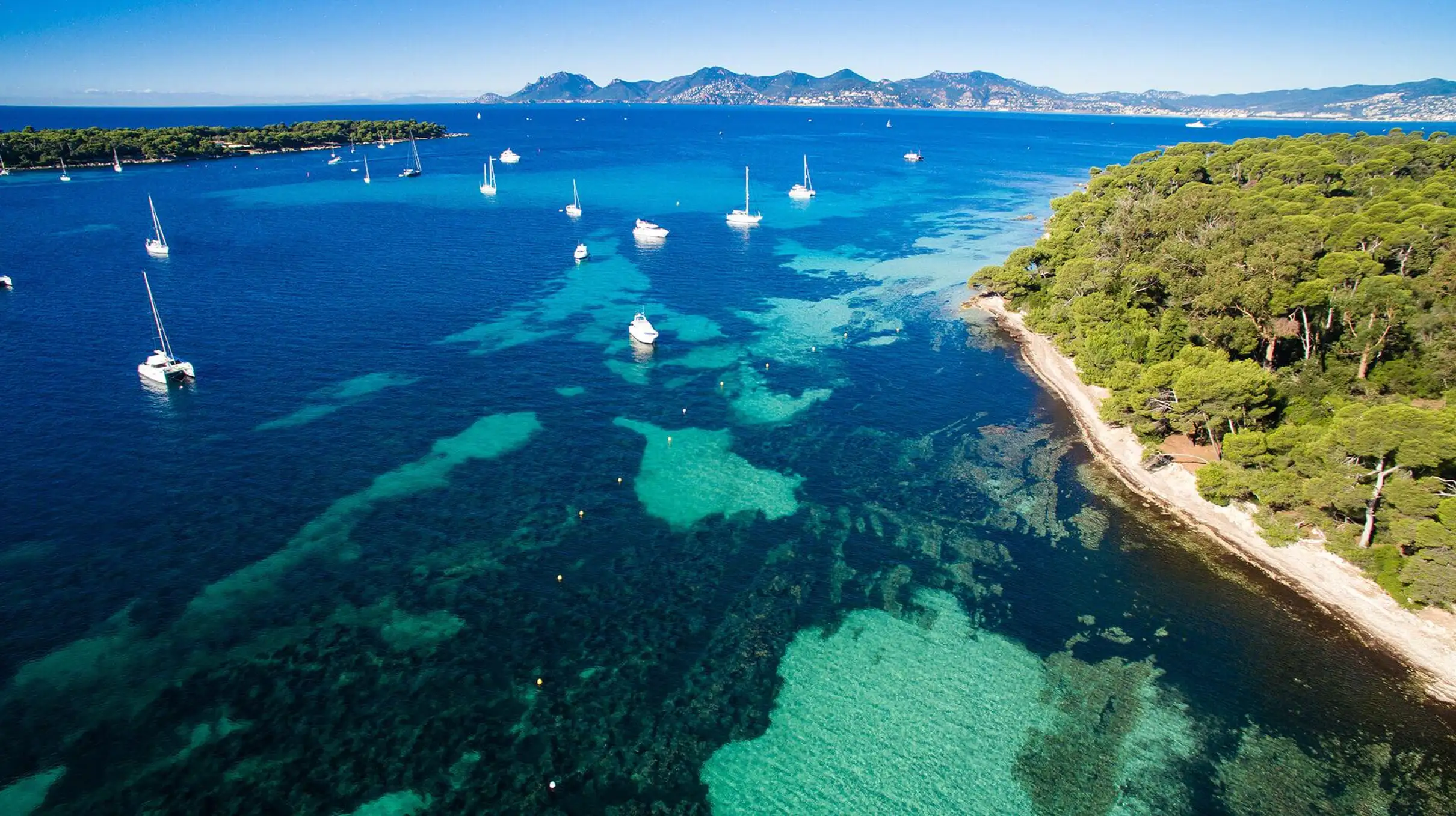 Saint Raphaël: Excursion en mer vers les îles de Lérins By Simone