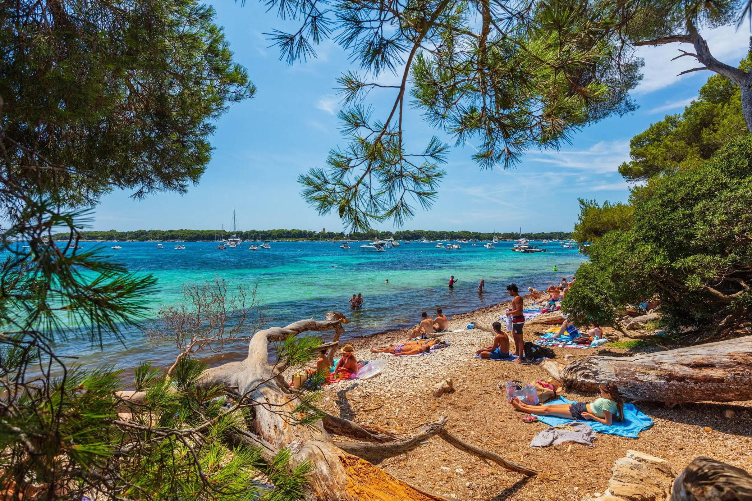 Saint Raphaël: Excursion en mer vers les îles de Lérins By Simone