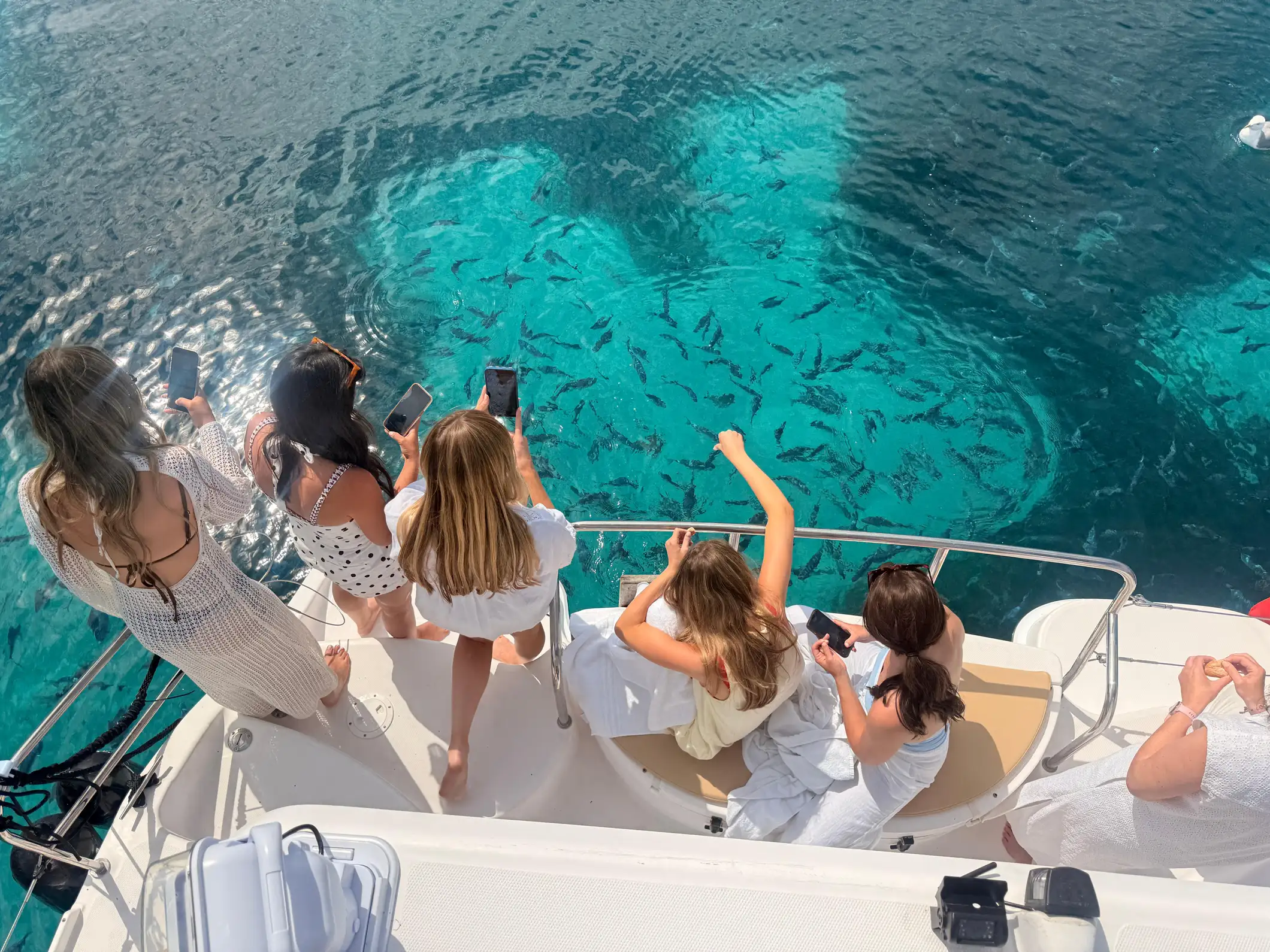 Croisière magique en catamaran à Cannes ! Paddle et plongée
